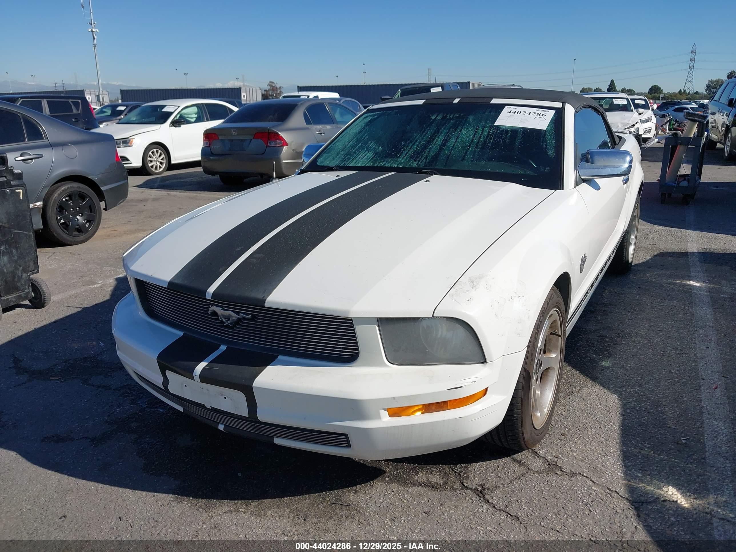 FORD MUSTANG image 6