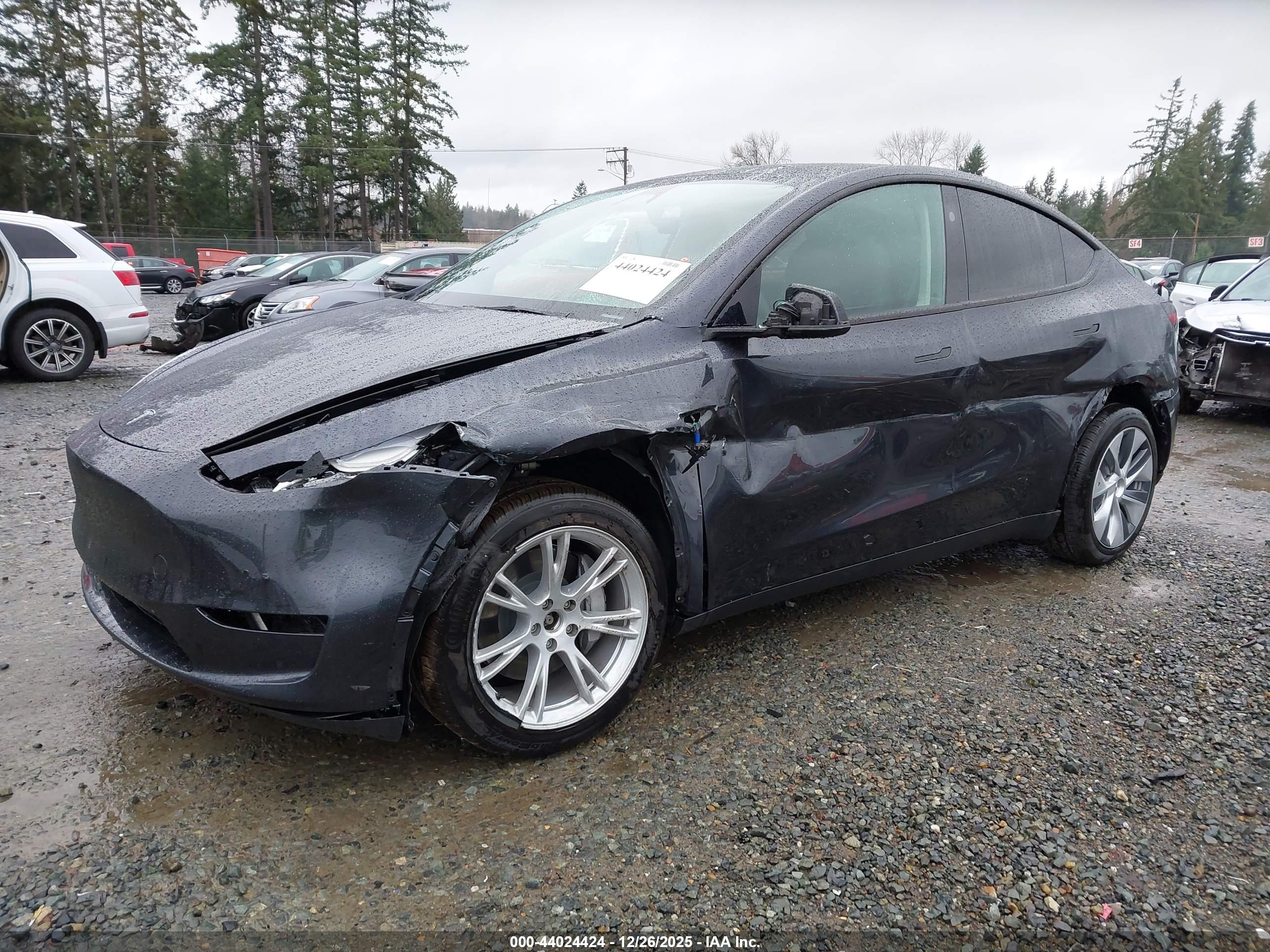 TESLA MODEL image 2