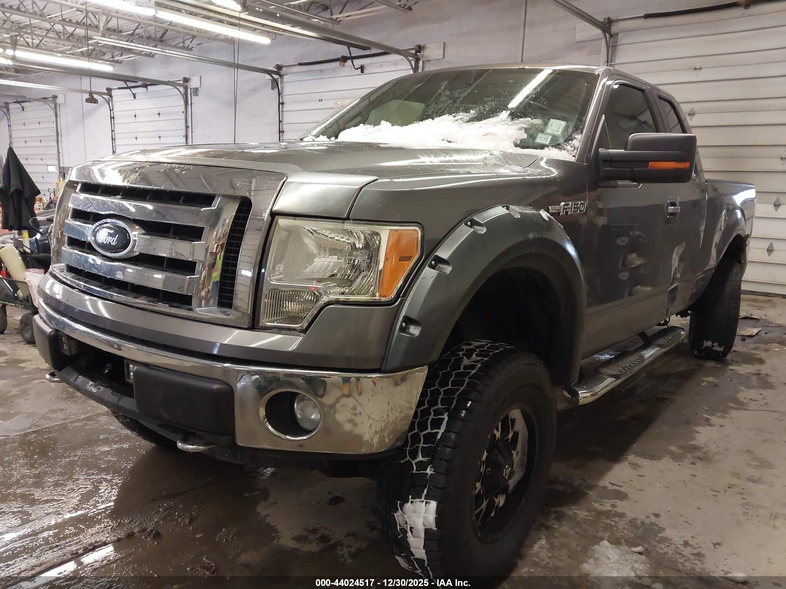 FORD F-150 image 2