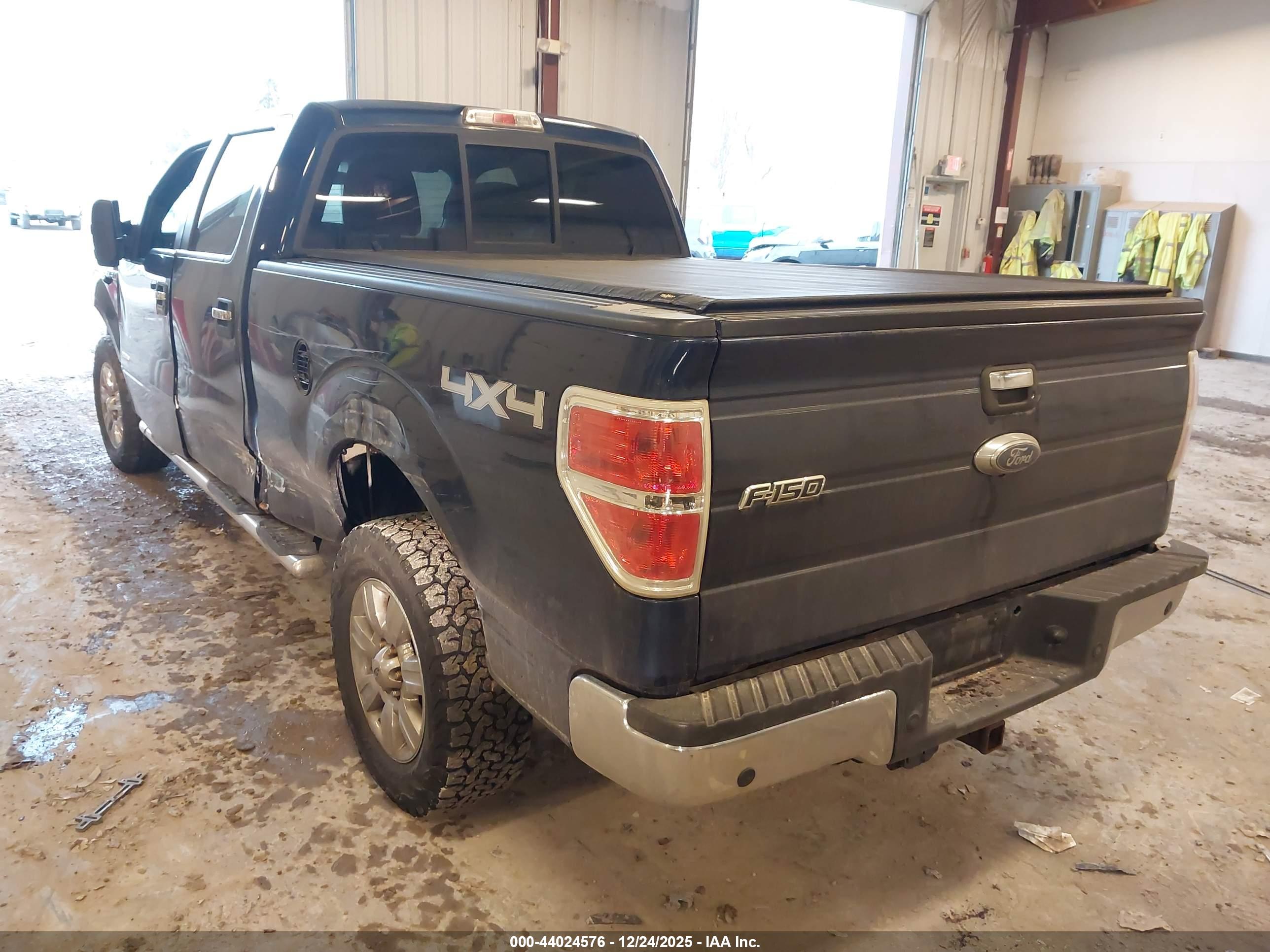 FORD F-150 image 3