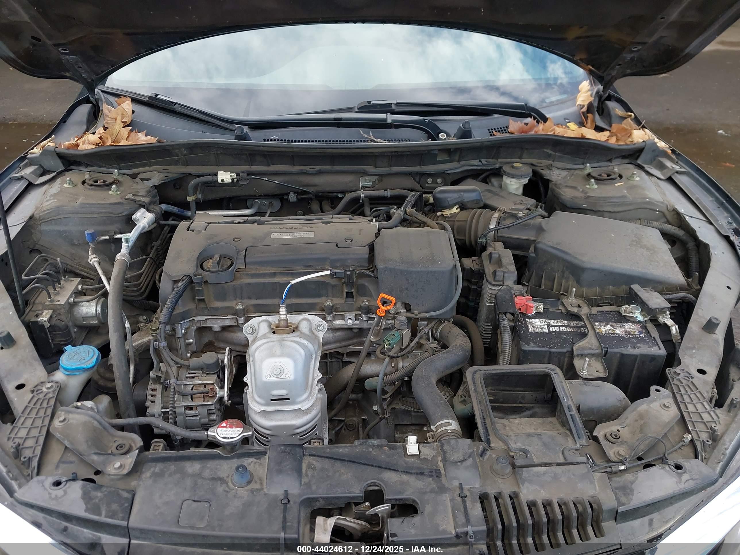 HONDA ACCORD image 10