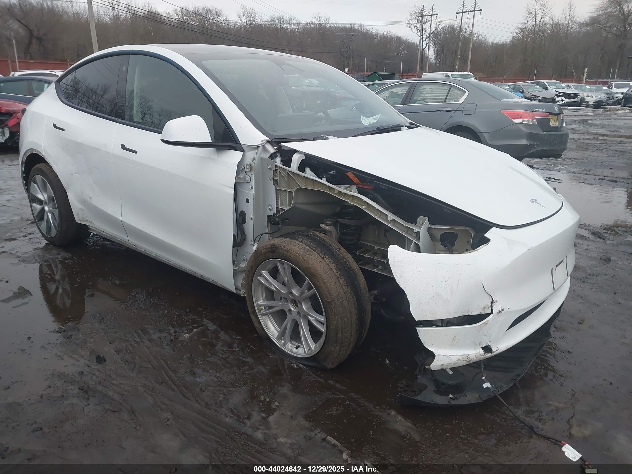 TESLA MODEL image 6