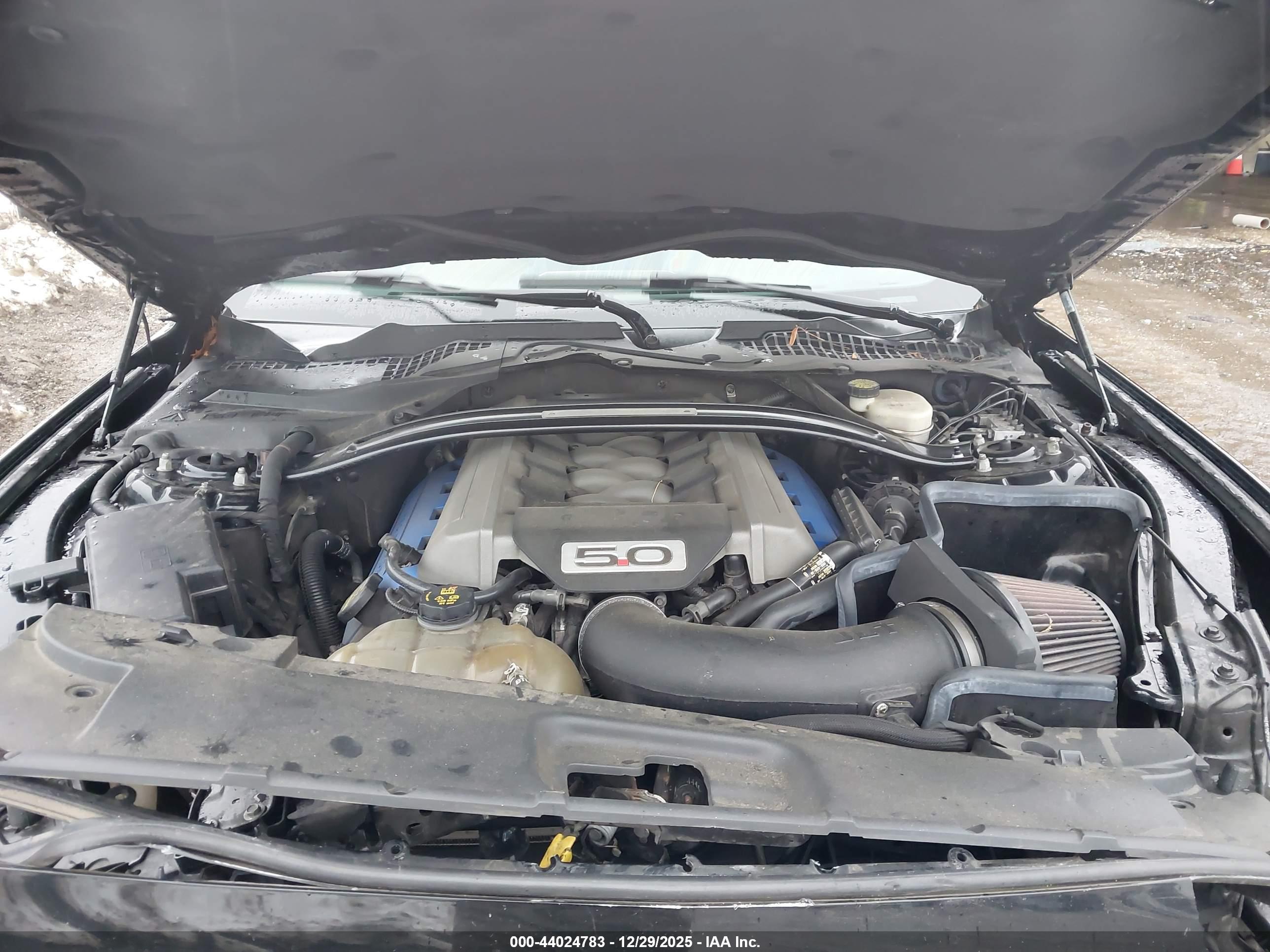 FORD MUSTANG image 10
