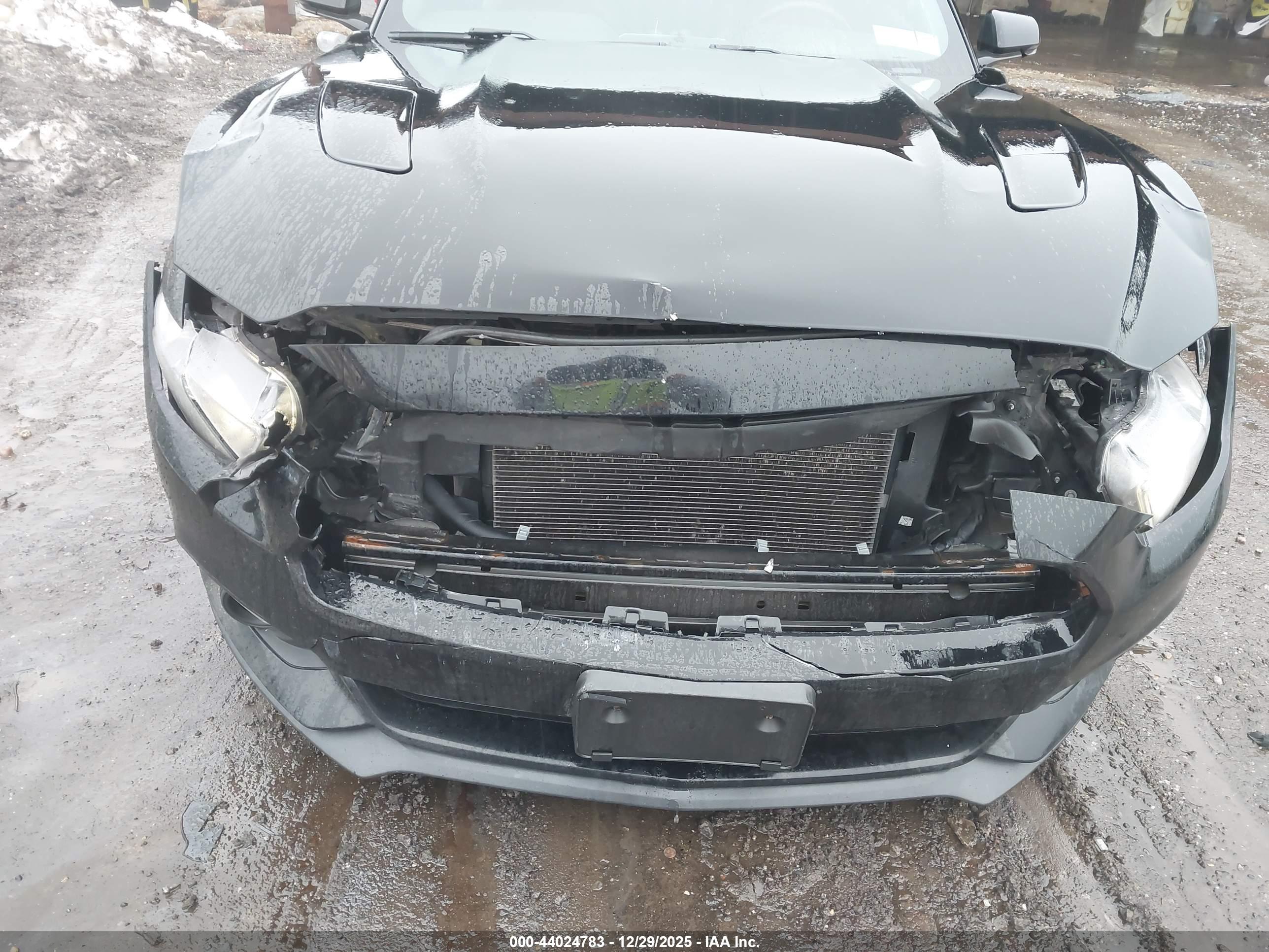 FORD MUSTANG image 6
