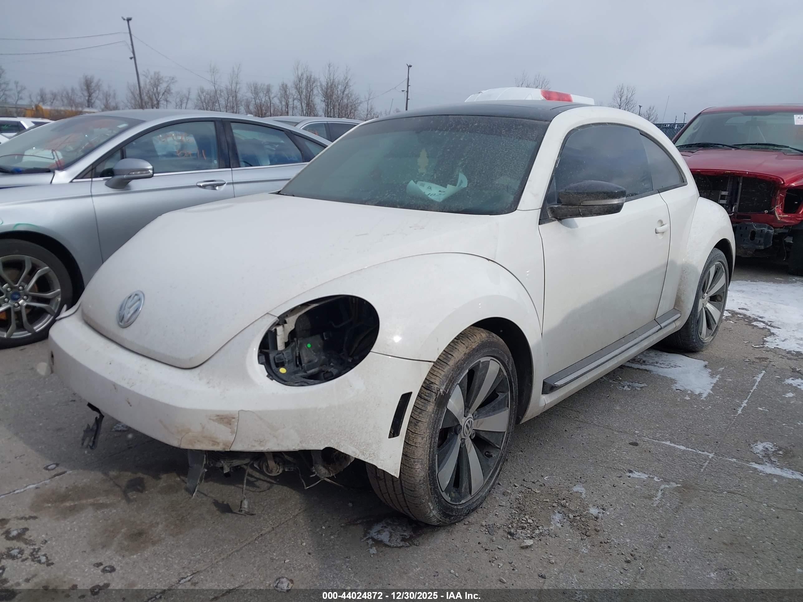 VOLKSWAGEN BEETLE image 2