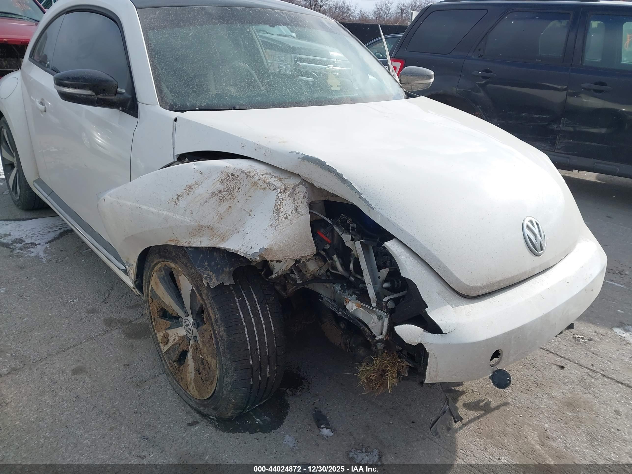 VOLKSWAGEN BEETLE image 6