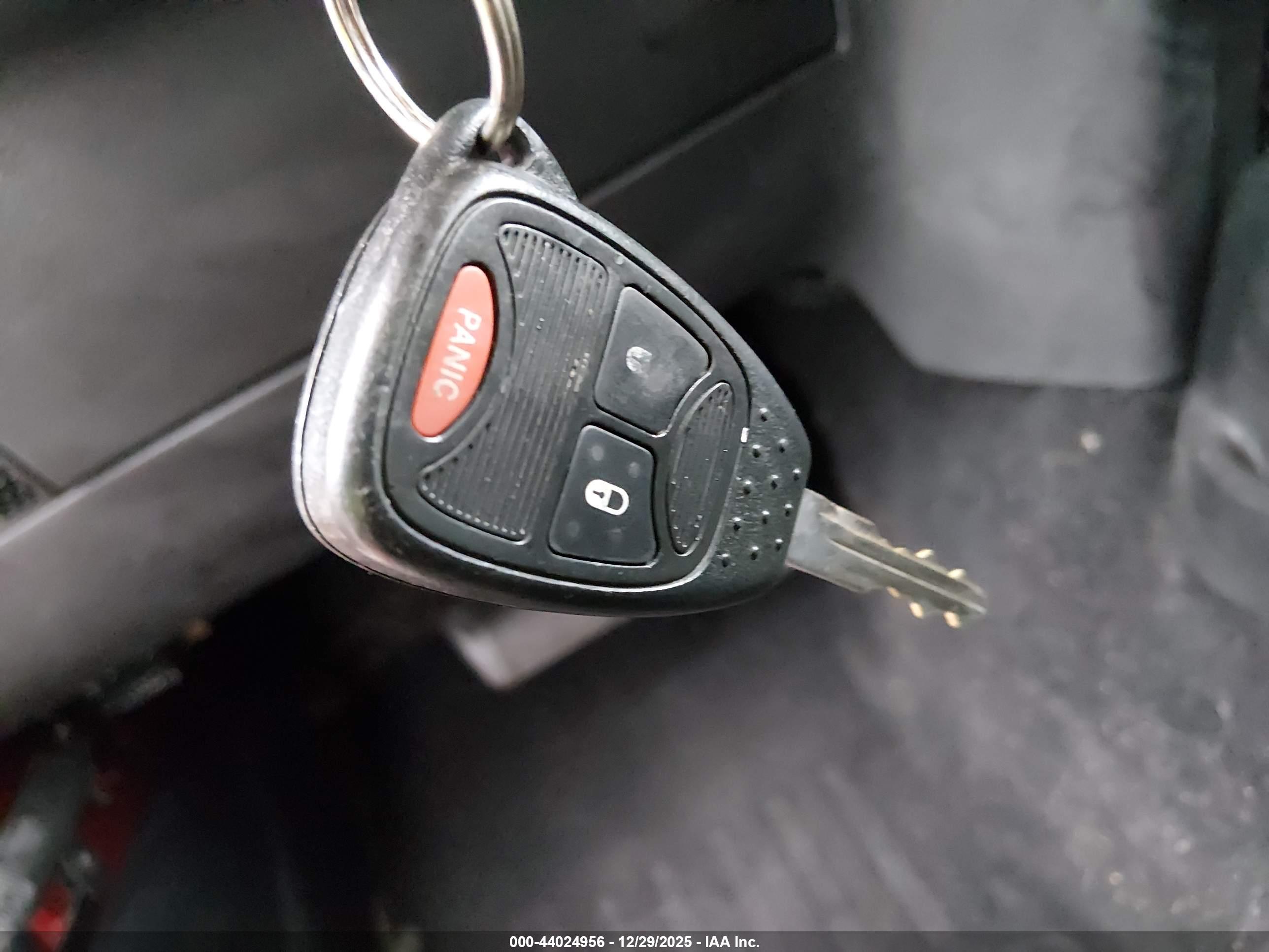 JEEP WRANGLER image 11