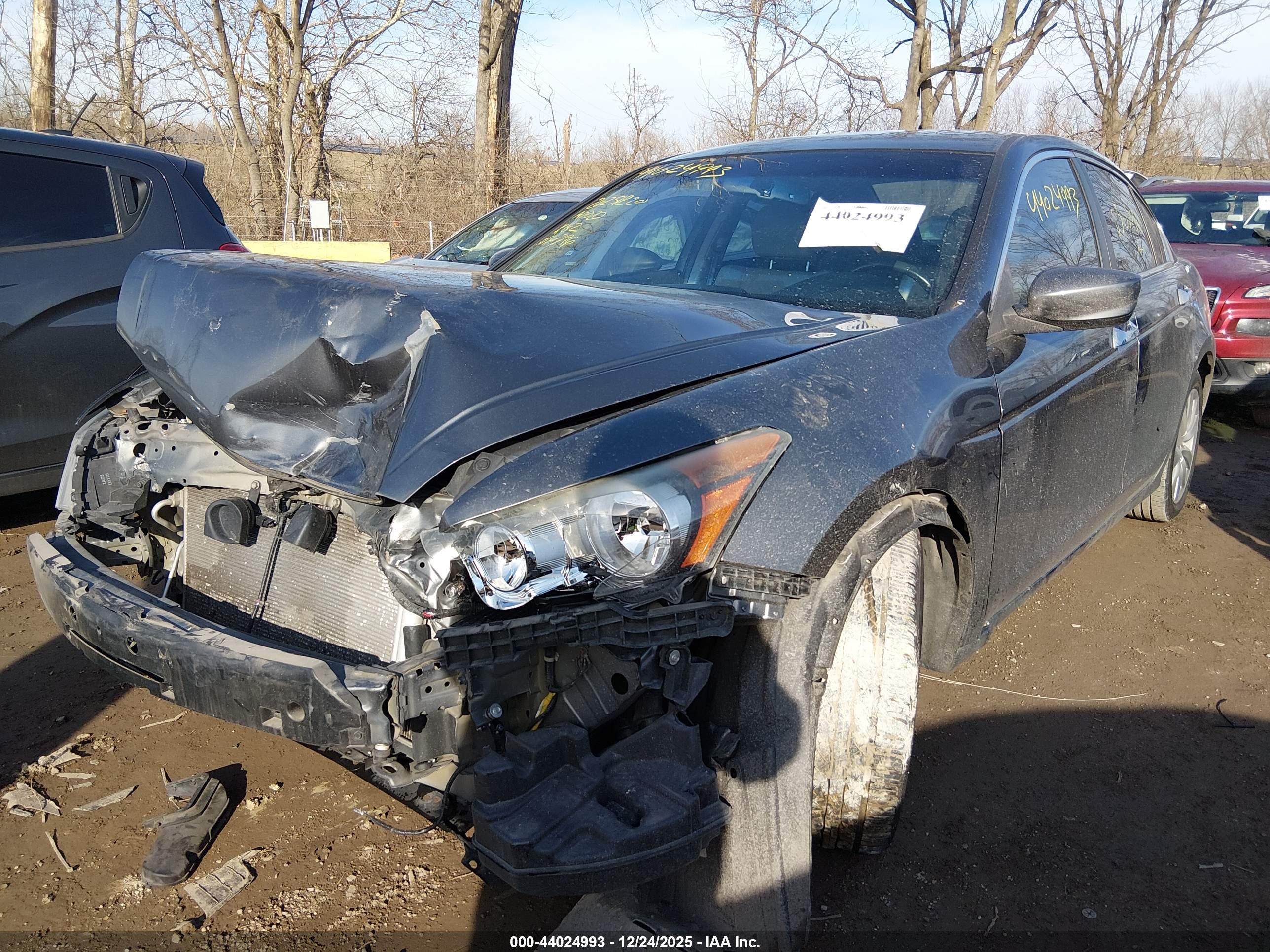HONDA ACCORD image 6