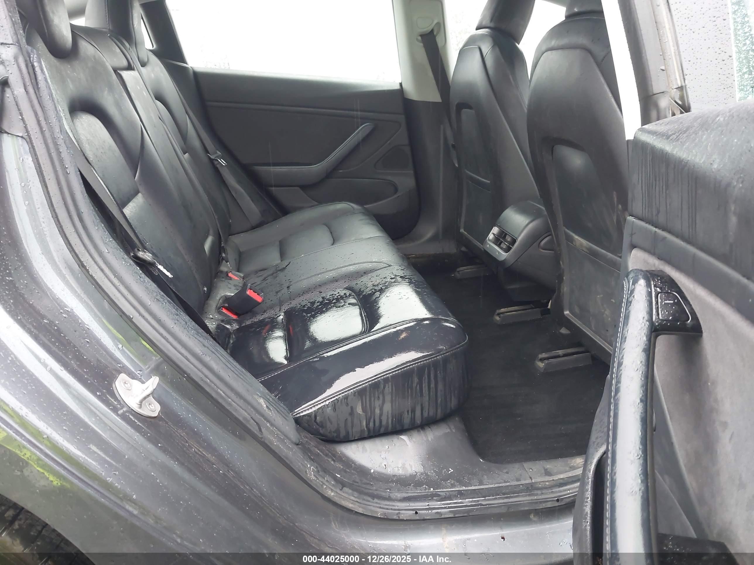 TESLA MODEL image 8