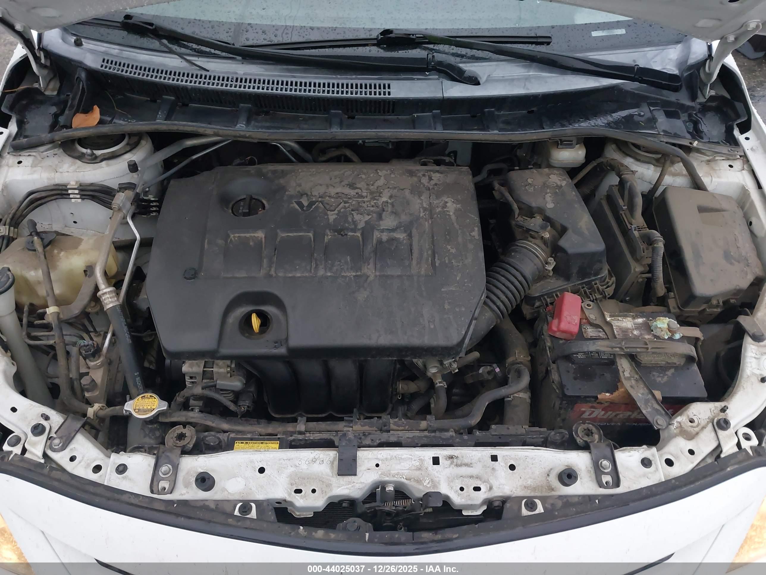 TOYOTA COROLLA image 10