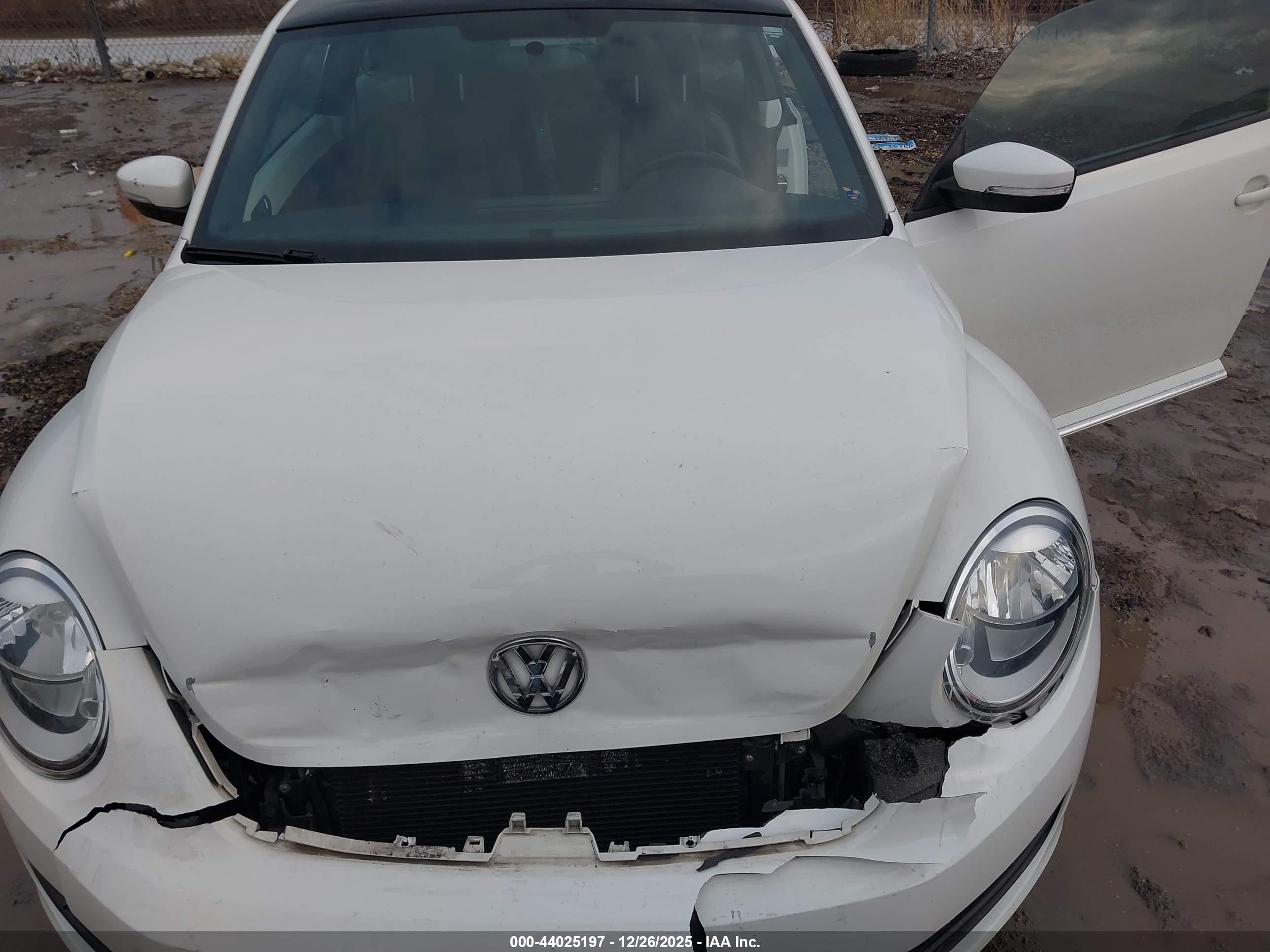 VOLKSWAGEN BEETLE image 10