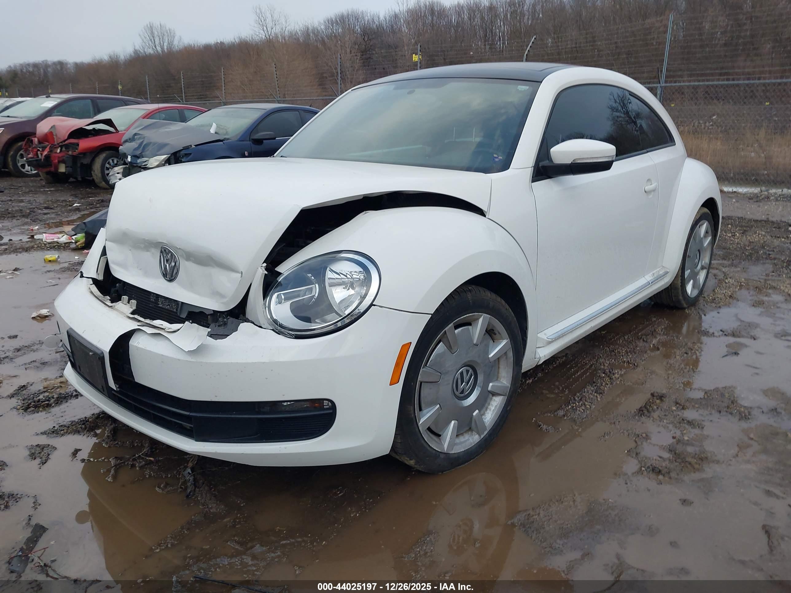 VOLKSWAGEN BEETLE image 2