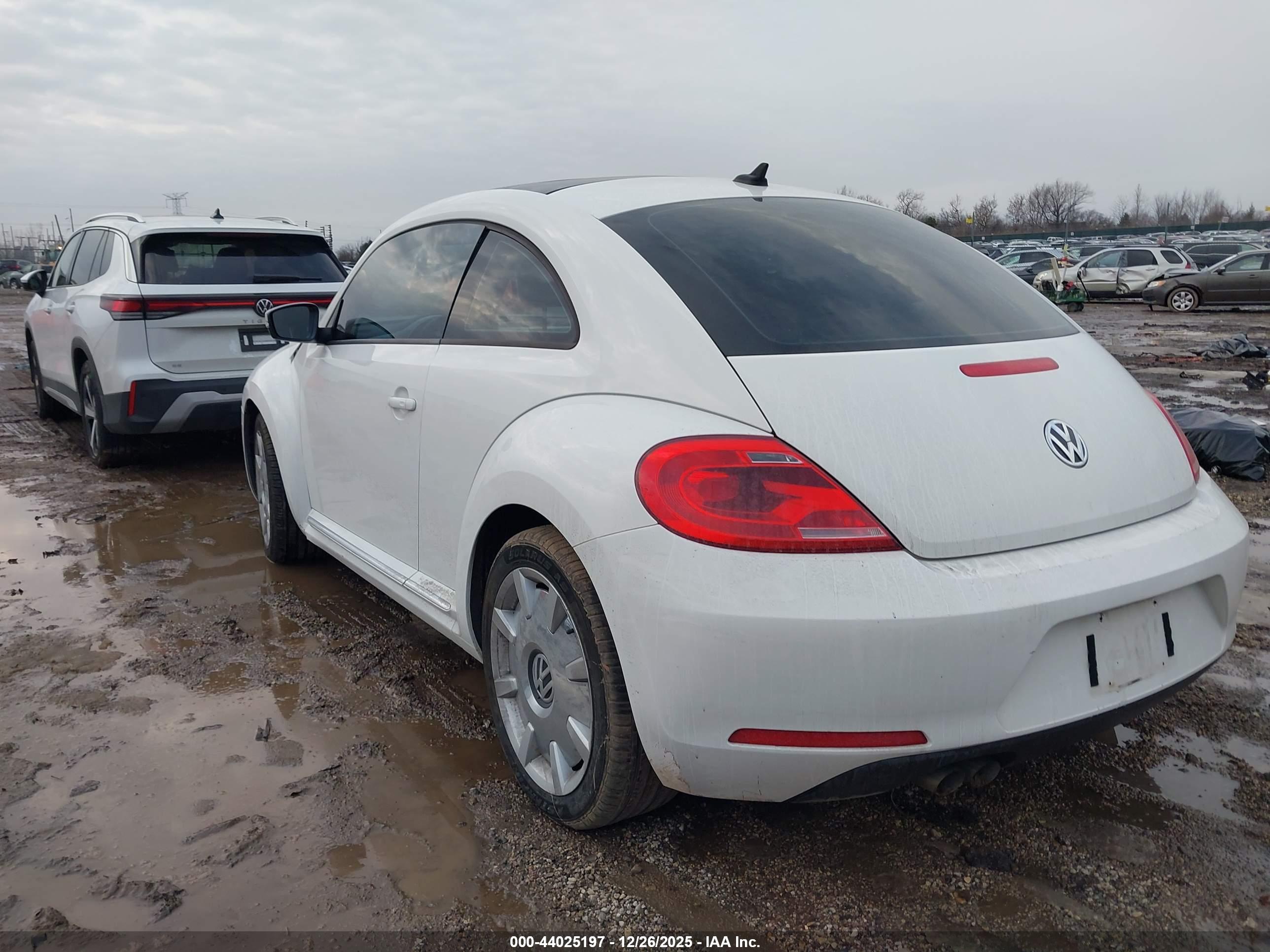 VOLKSWAGEN BEETLE image 3