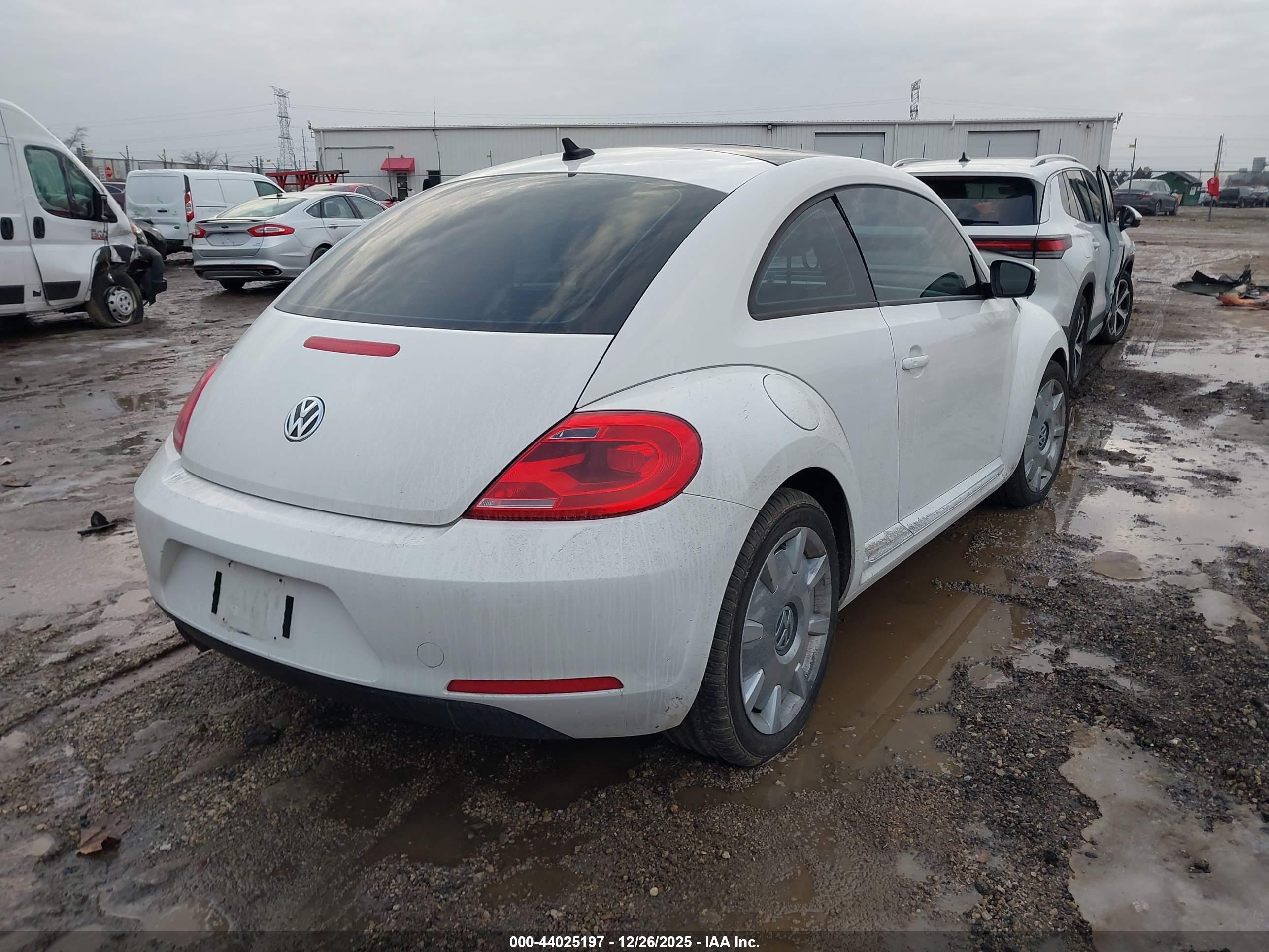 VOLKSWAGEN BEETLE image 4