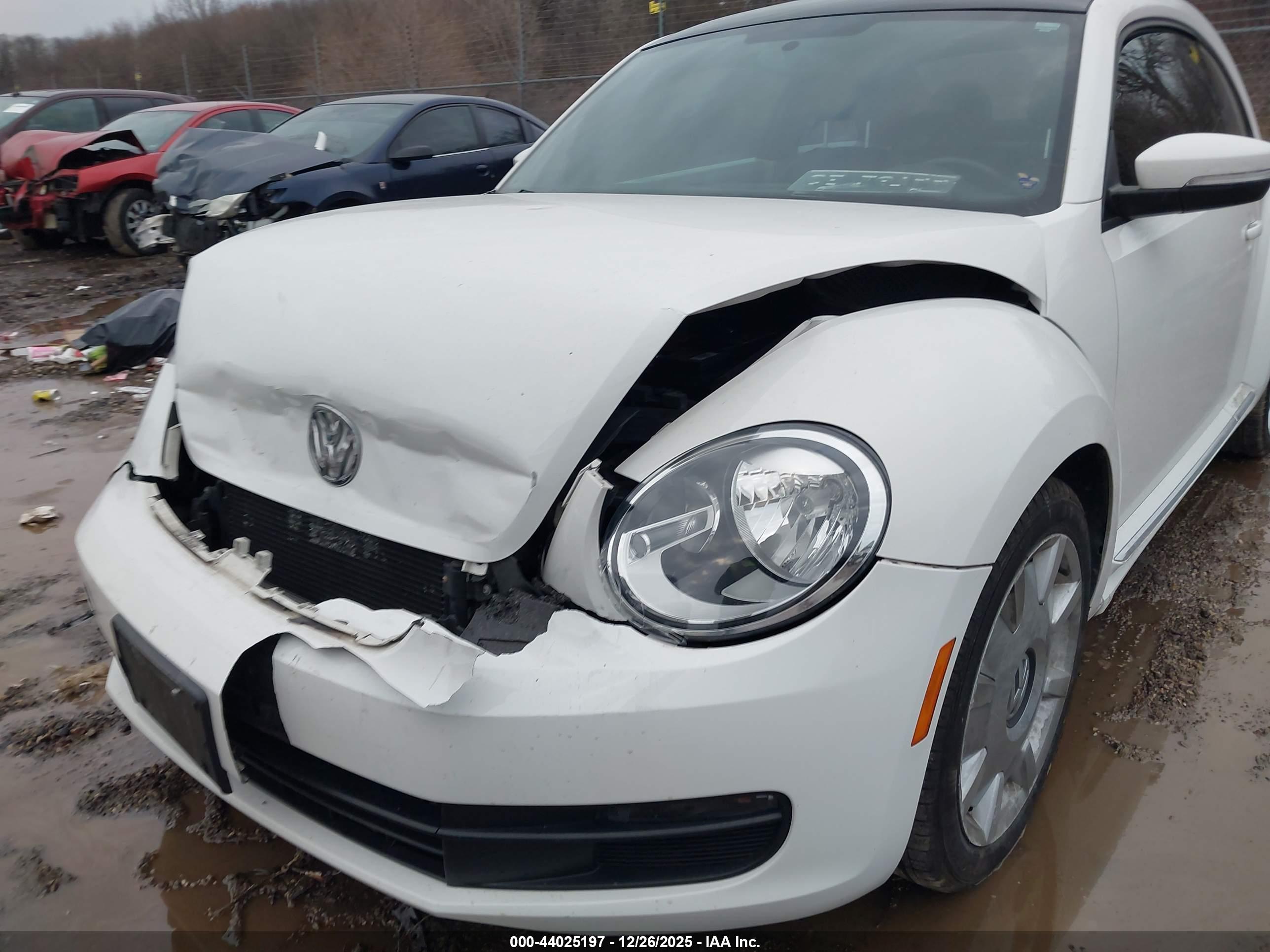 VOLKSWAGEN BEETLE image 6