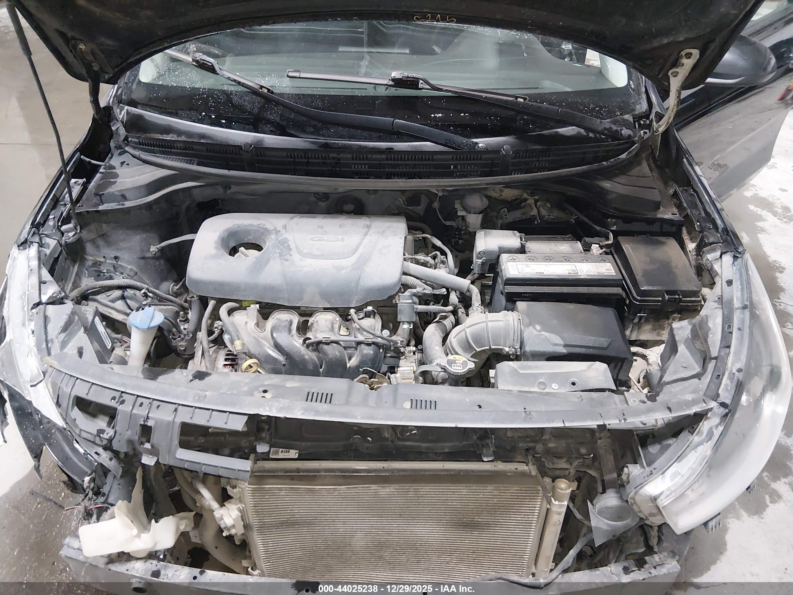 KIA RIO image 10