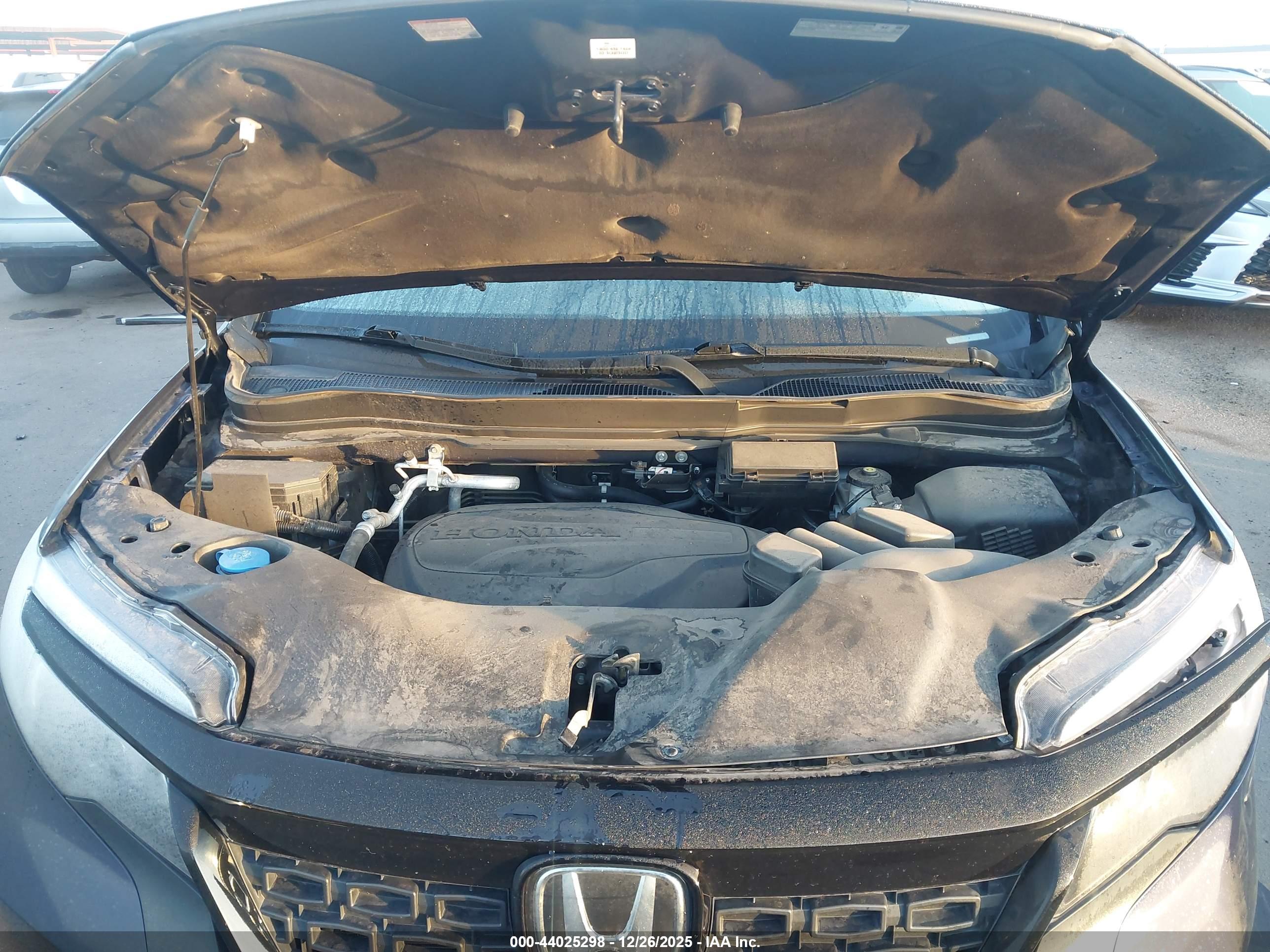 HONDA PASSPORT image 10