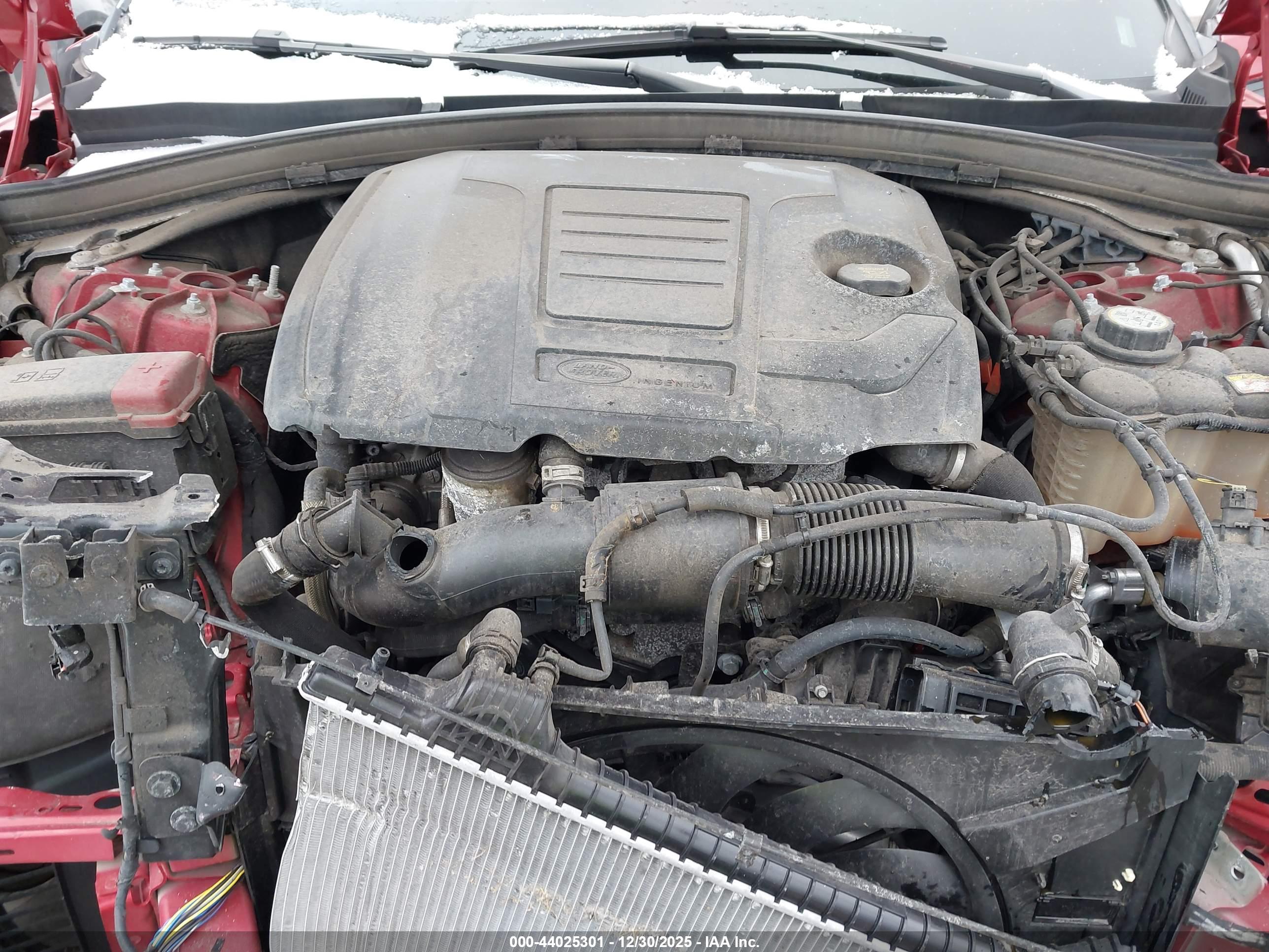 LAND ROVER image 10