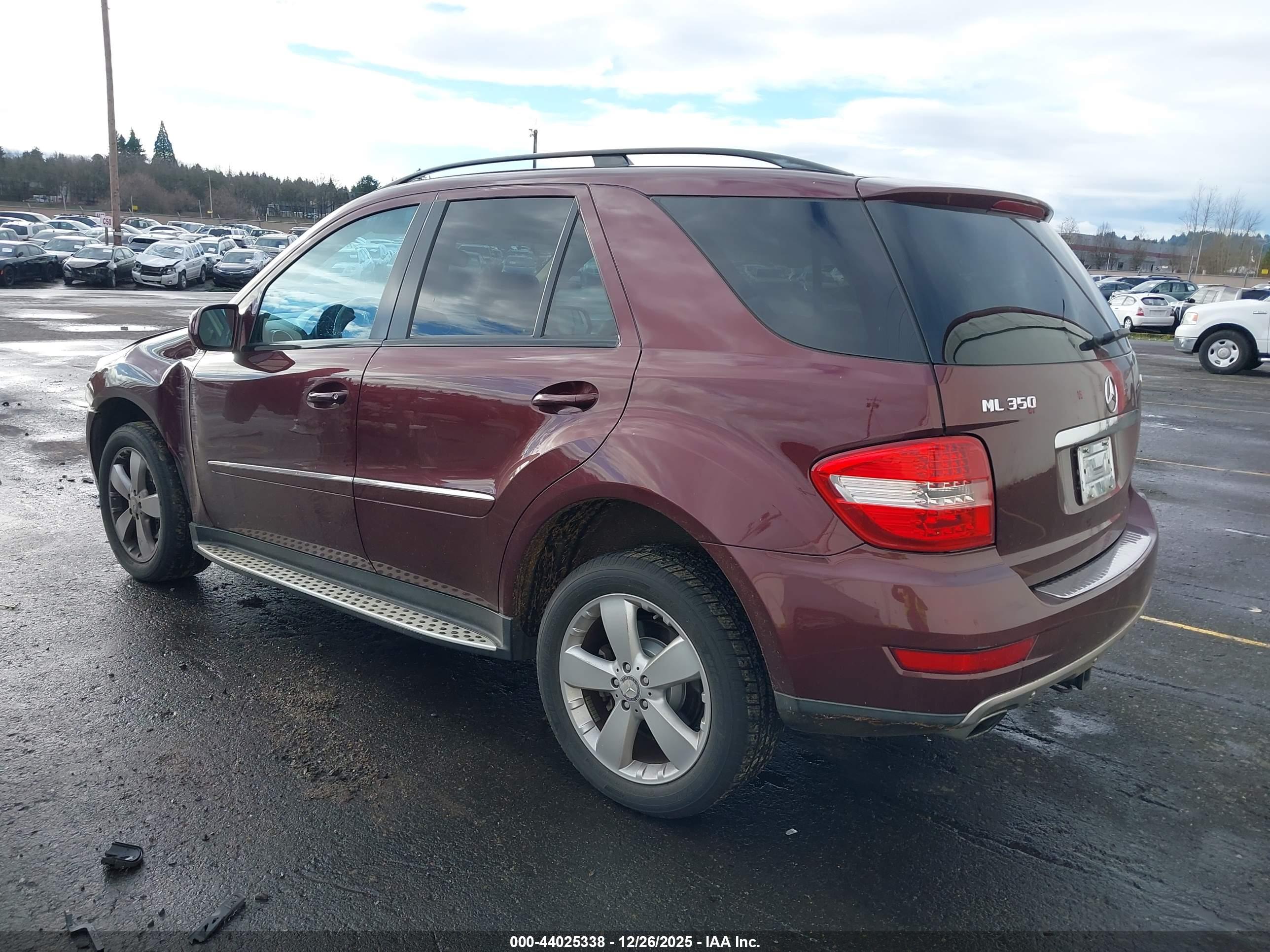 MERCEDES-BENZ ML image 3