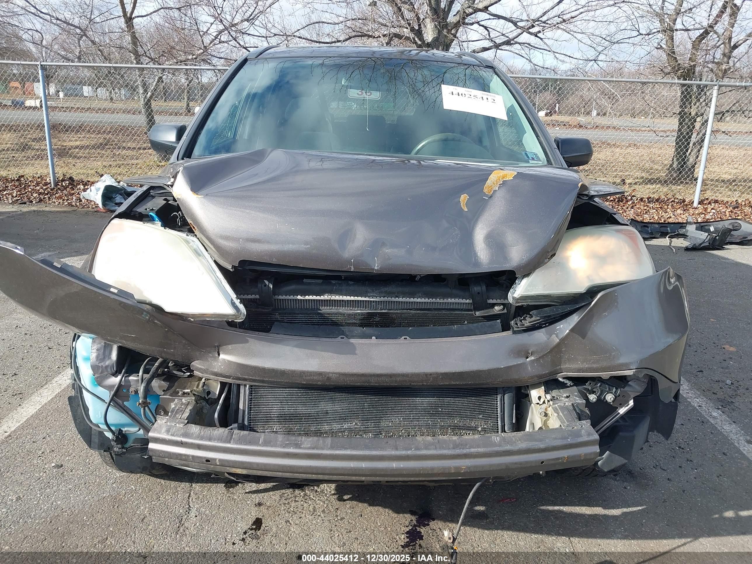 HONDA CR-V image 6