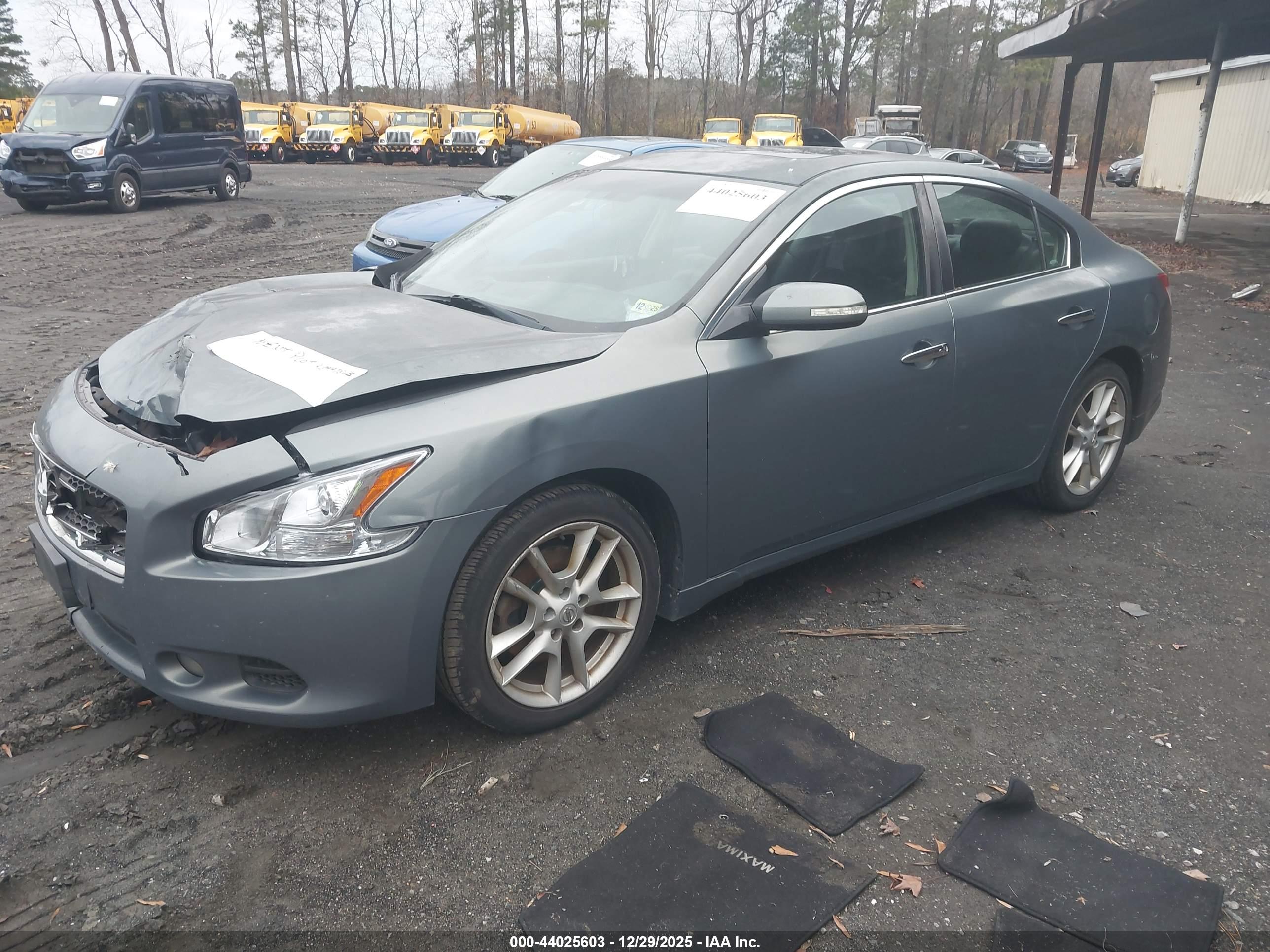 NISSAN MAXIMA image 2