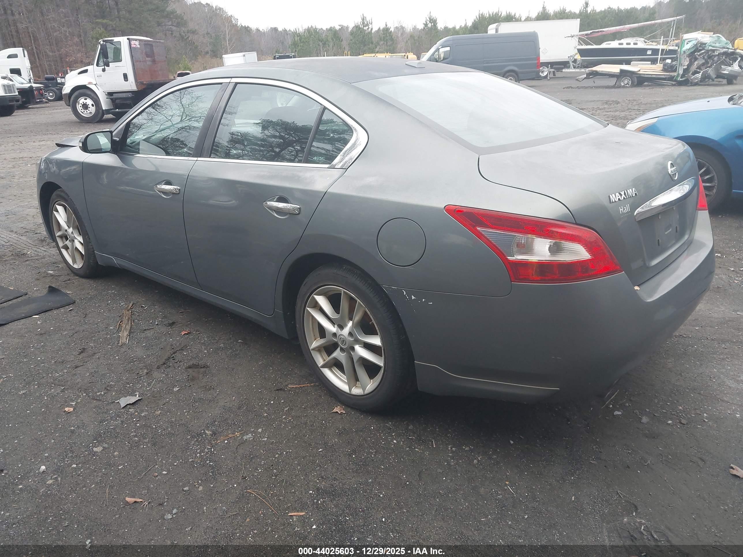 NISSAN MAXIMA image 3