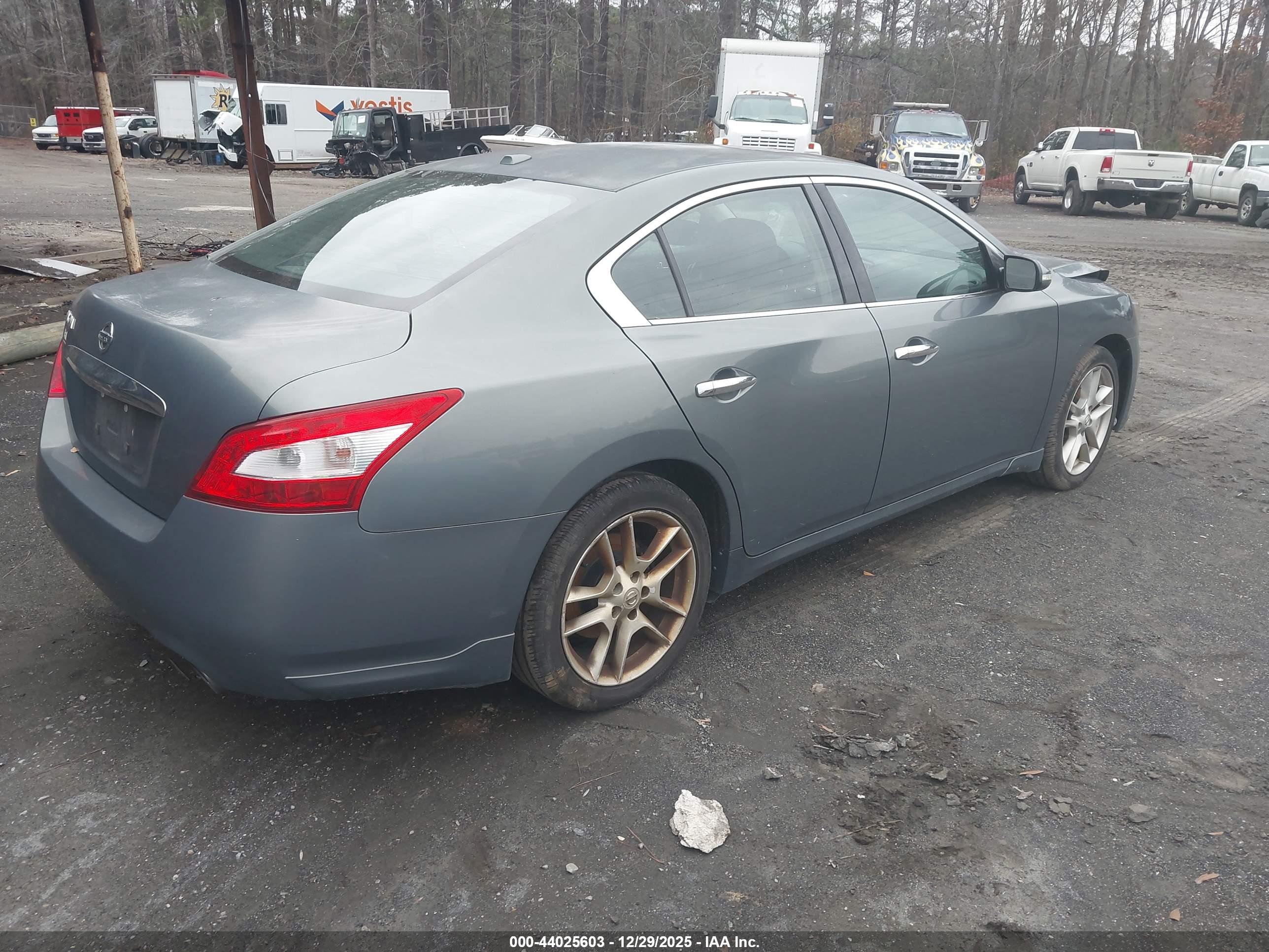 NISSAN MAXIMA image 4