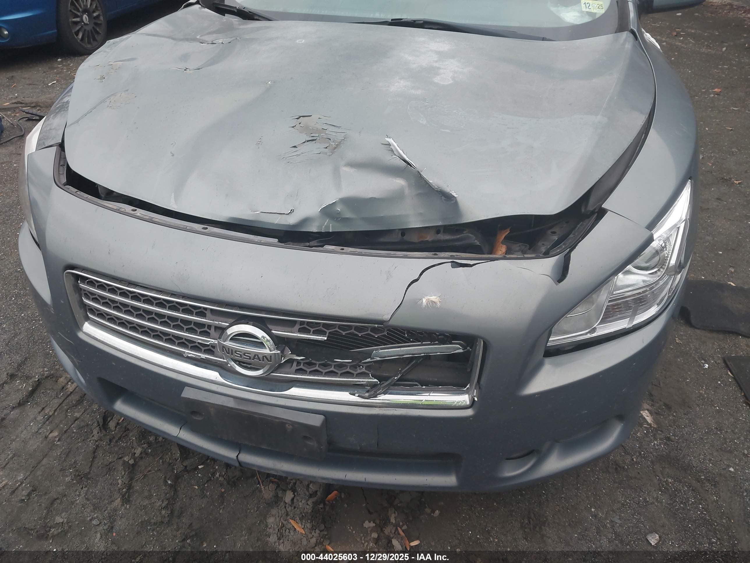 NISSAN MAXIMA image 6