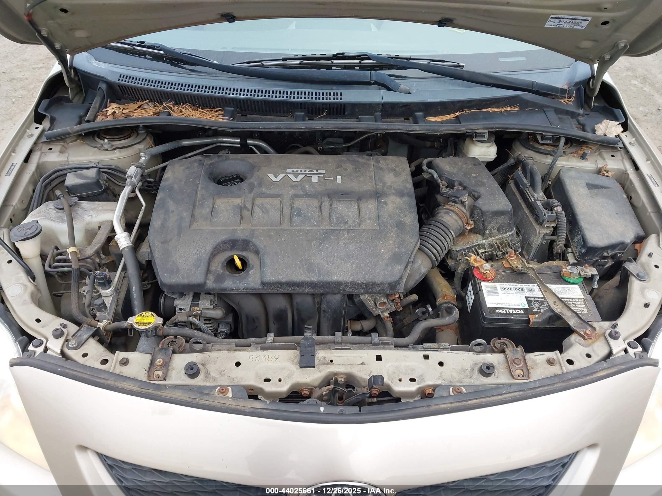 TOYOTA COROLLA image 10