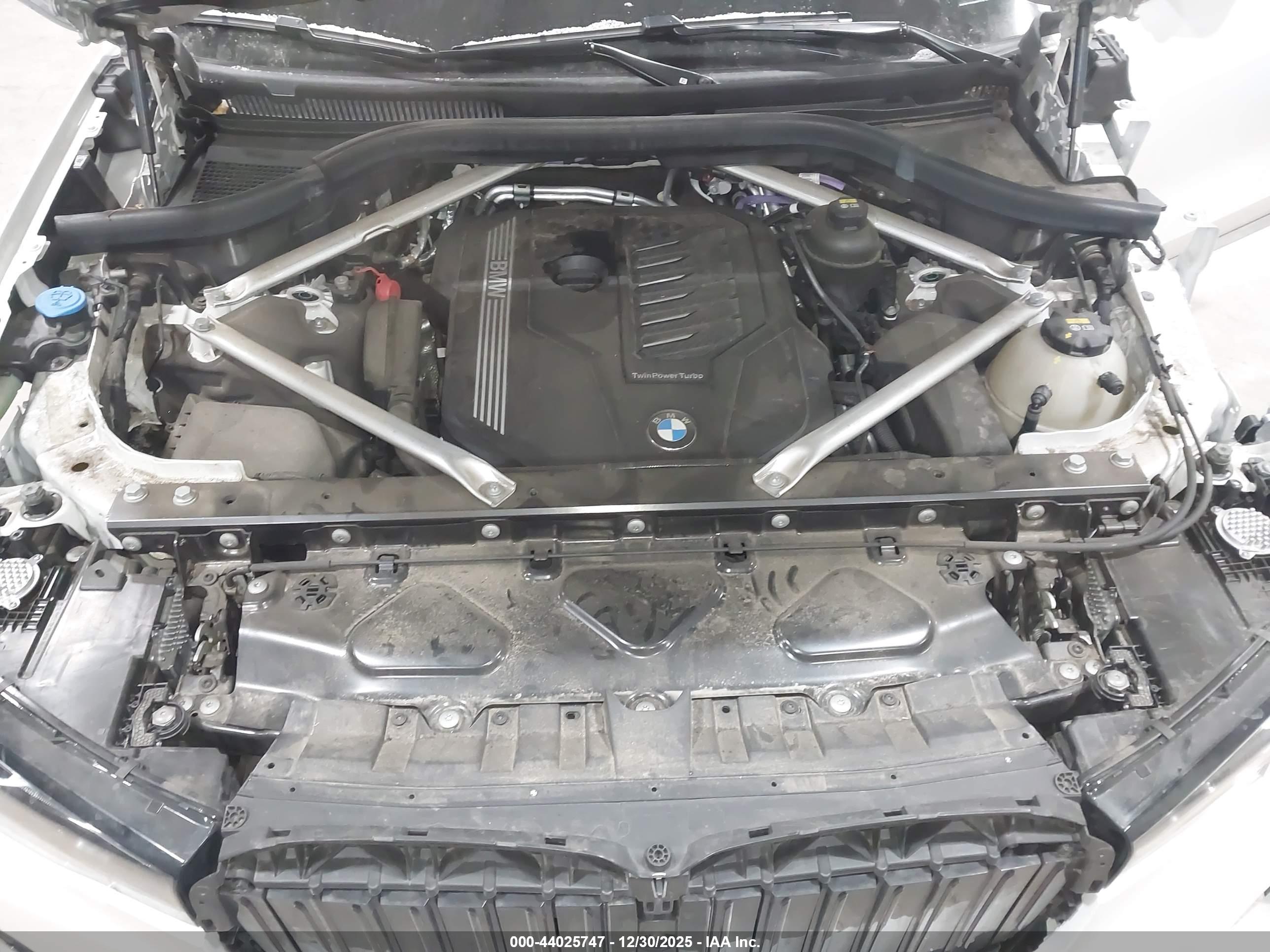 BMW X7 image 10