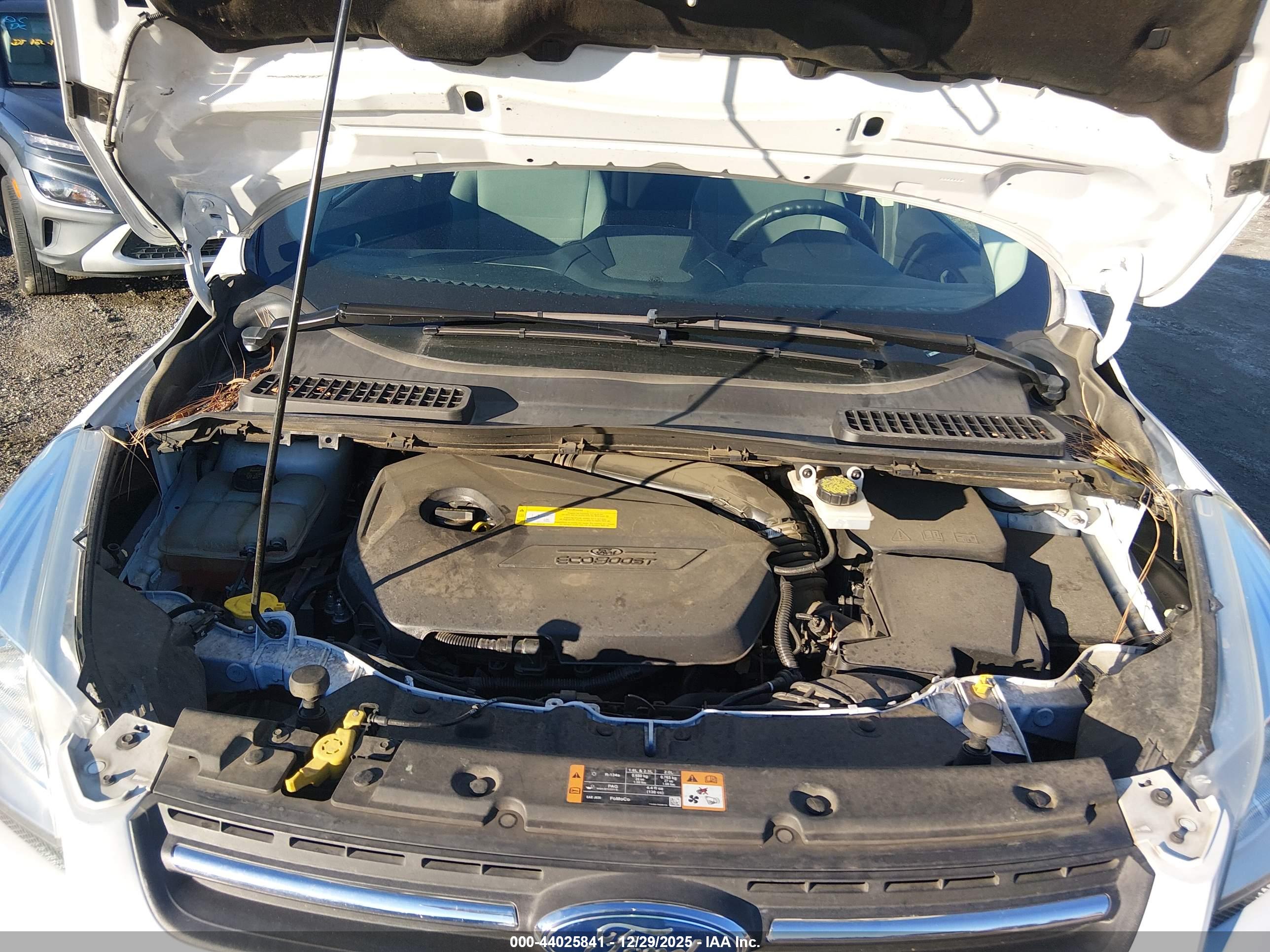 FORD ESCAPE image 10