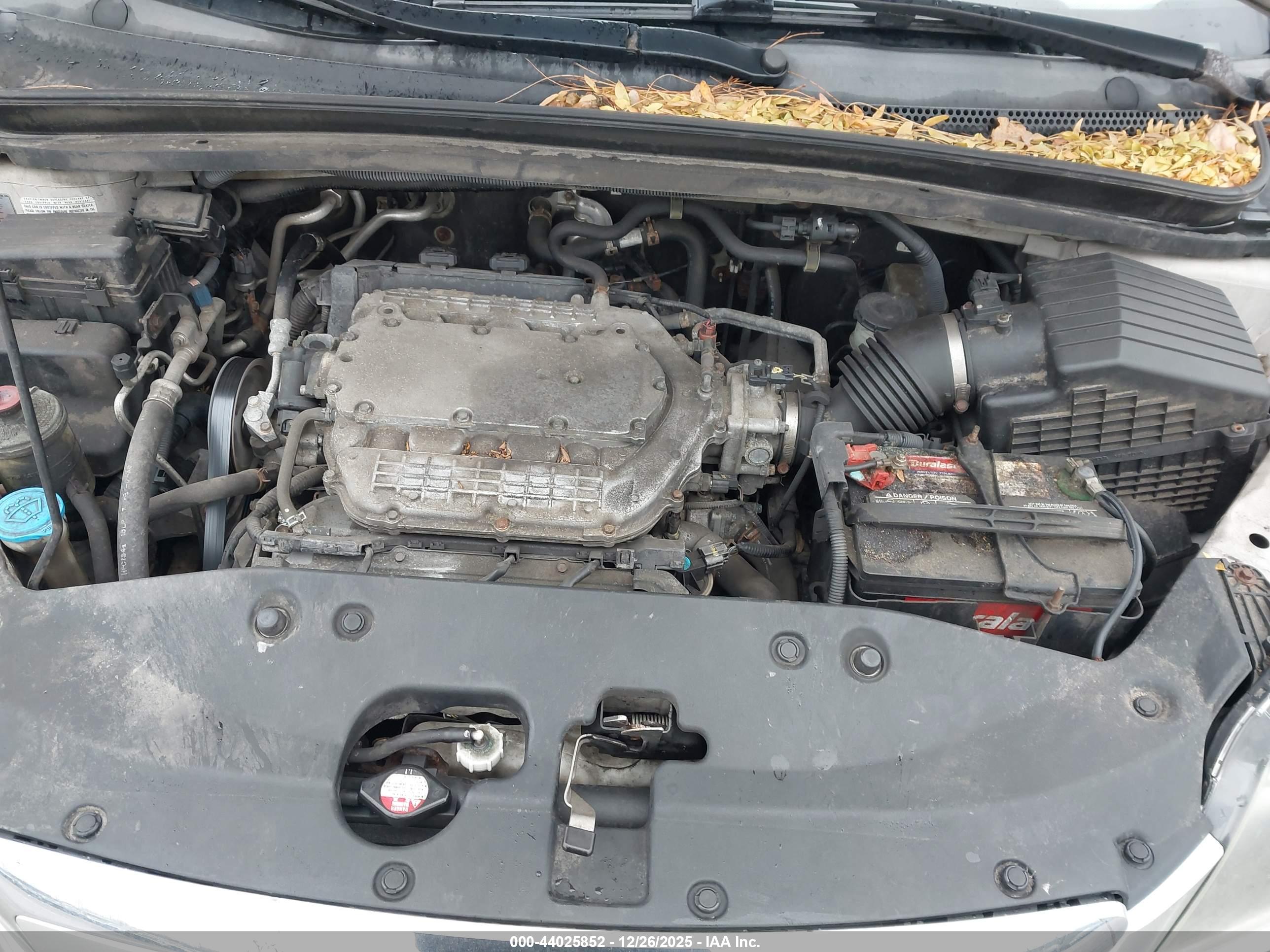 HONDA ODYSSEY image 10