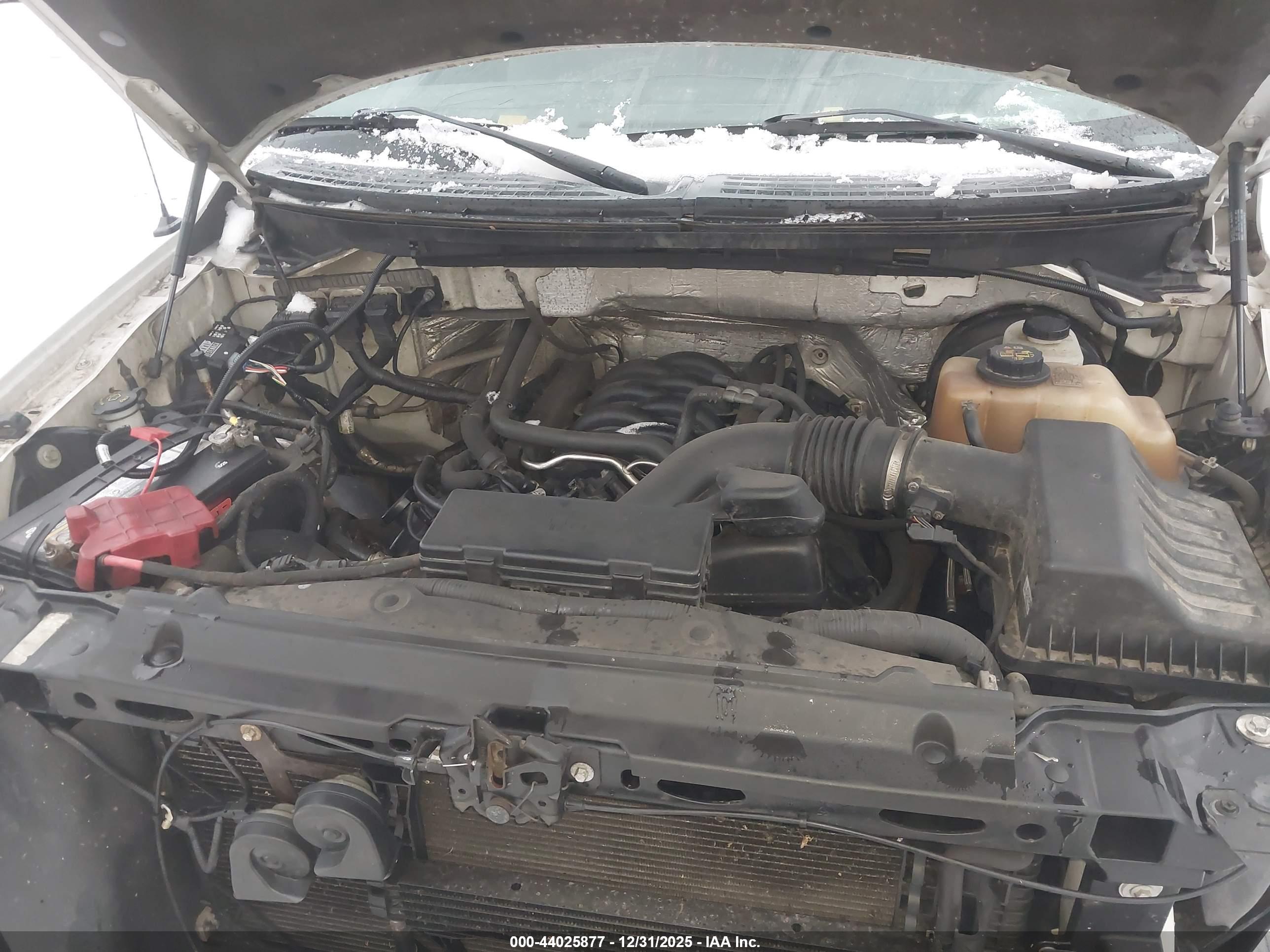FORD F-150 image 10