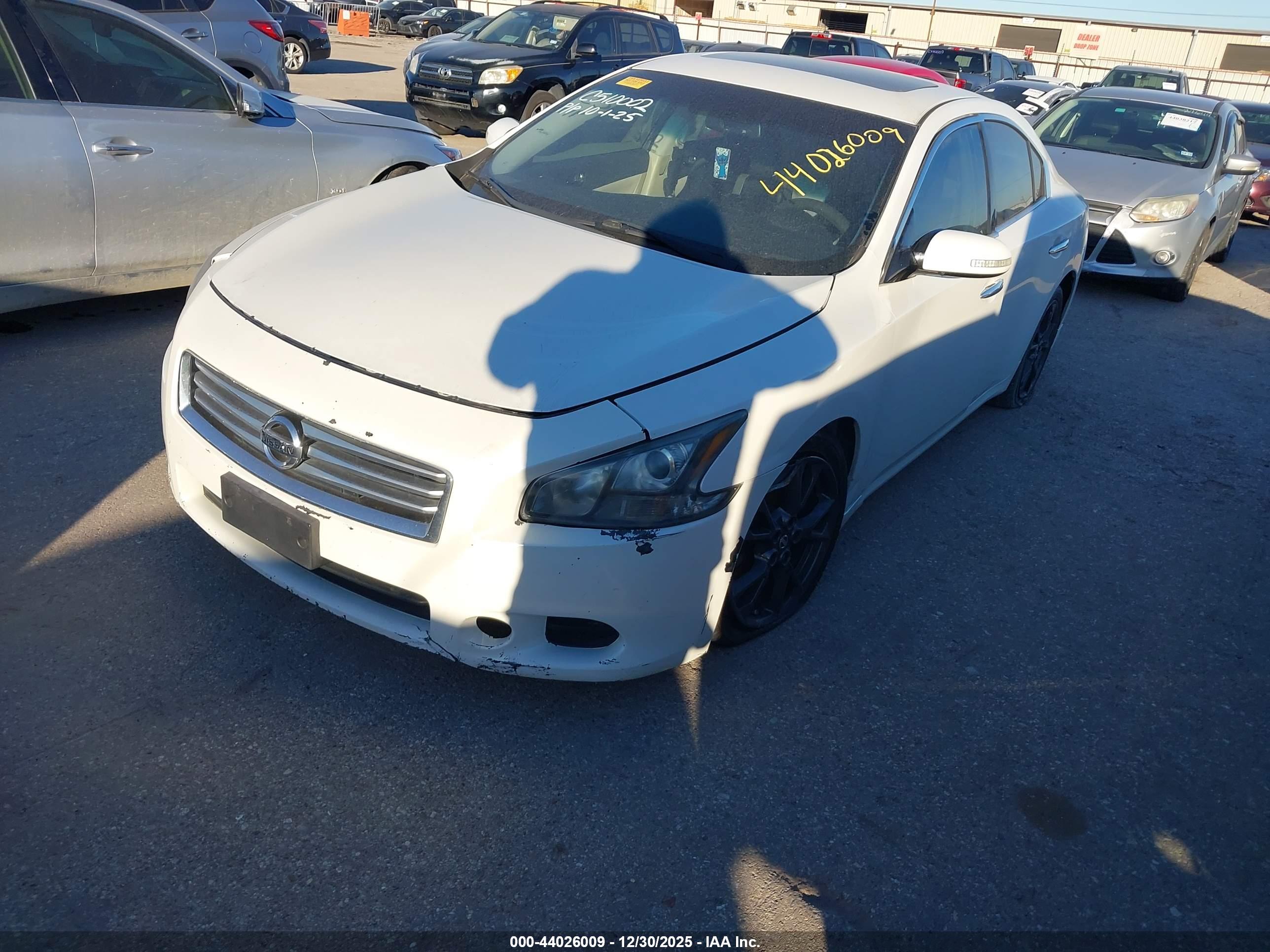 NISSAN MAXIMA image 2