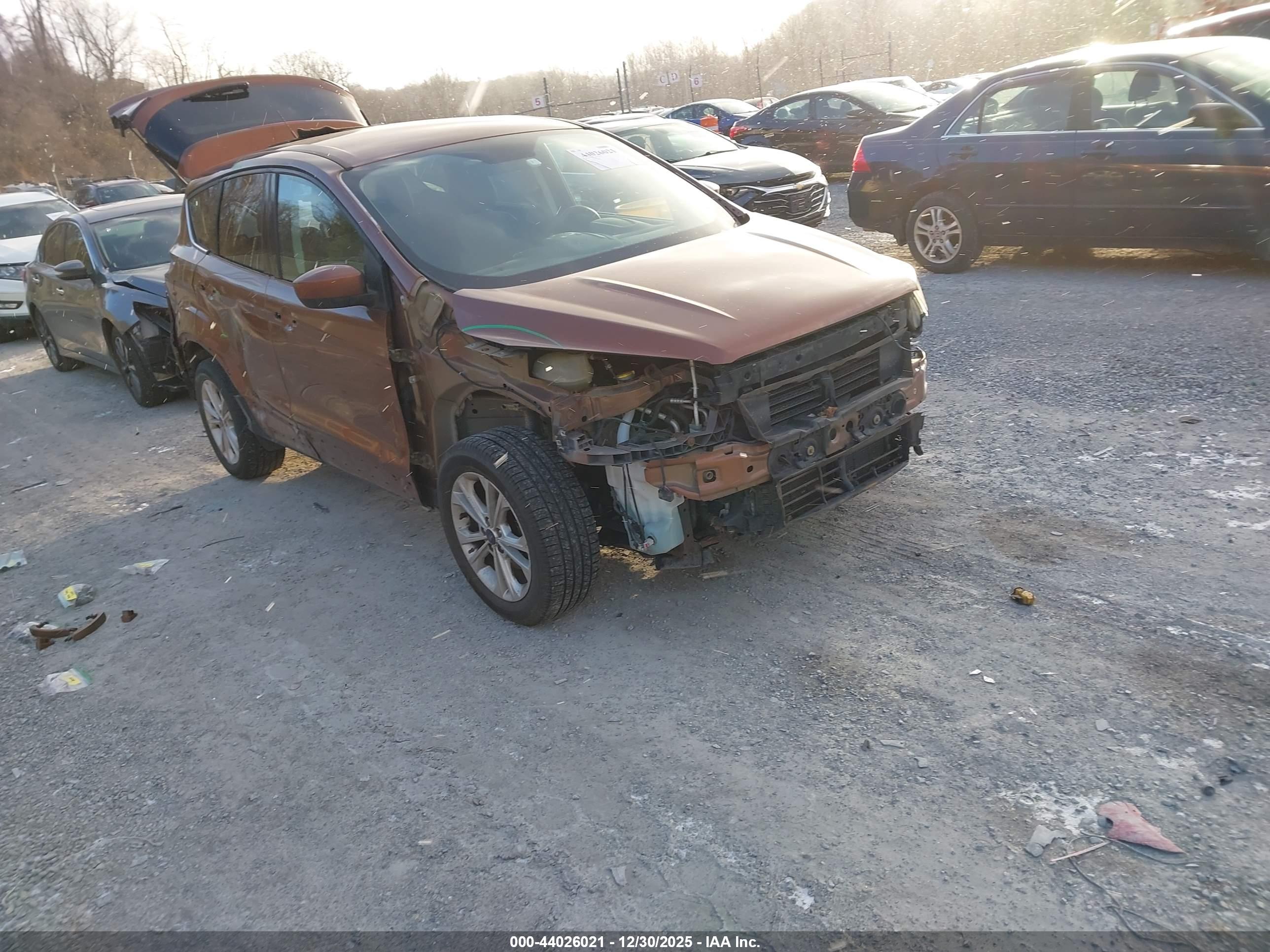 FORD ESCAPE image 6