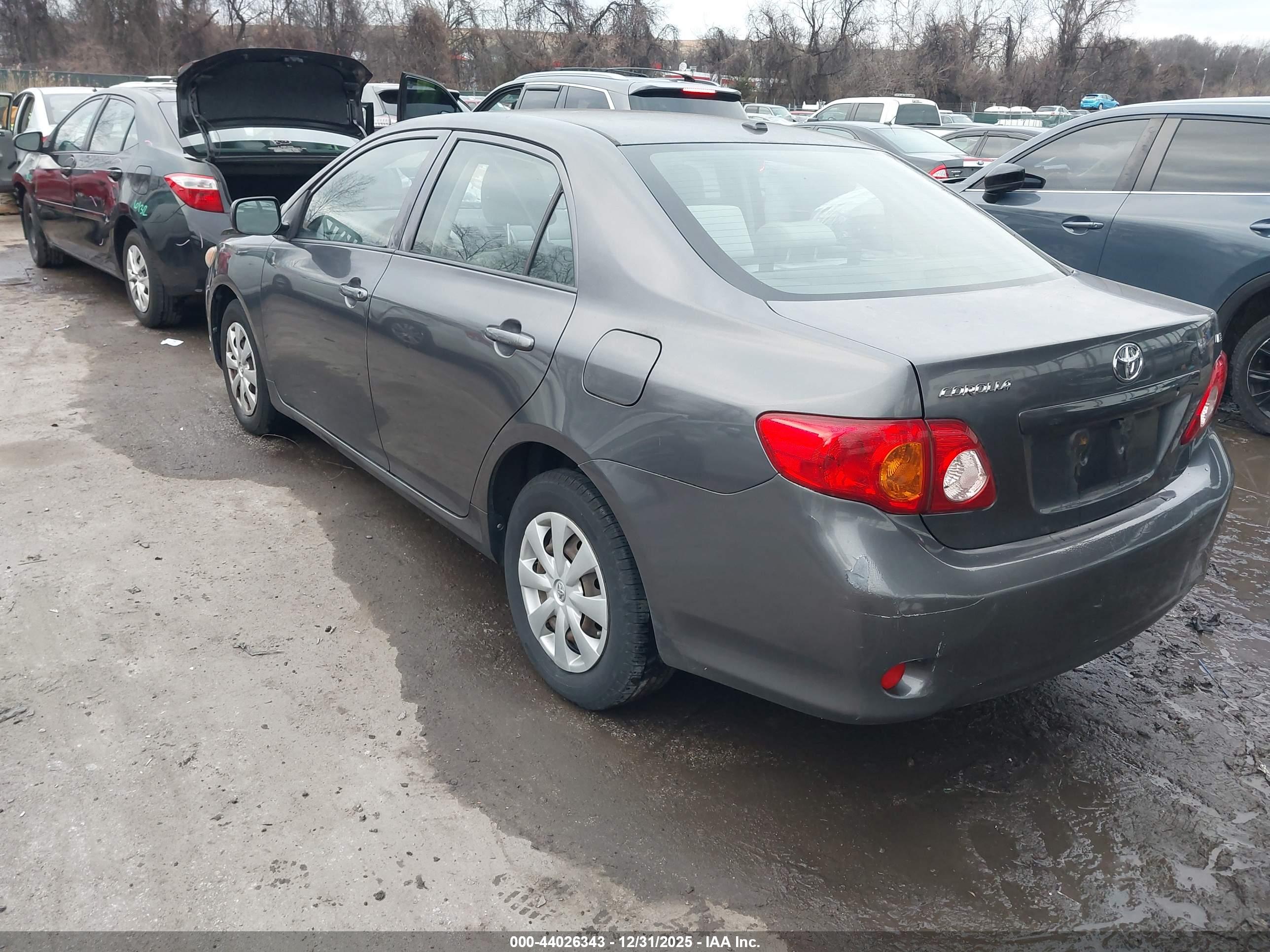 TOYOTA COROLLA image 3
