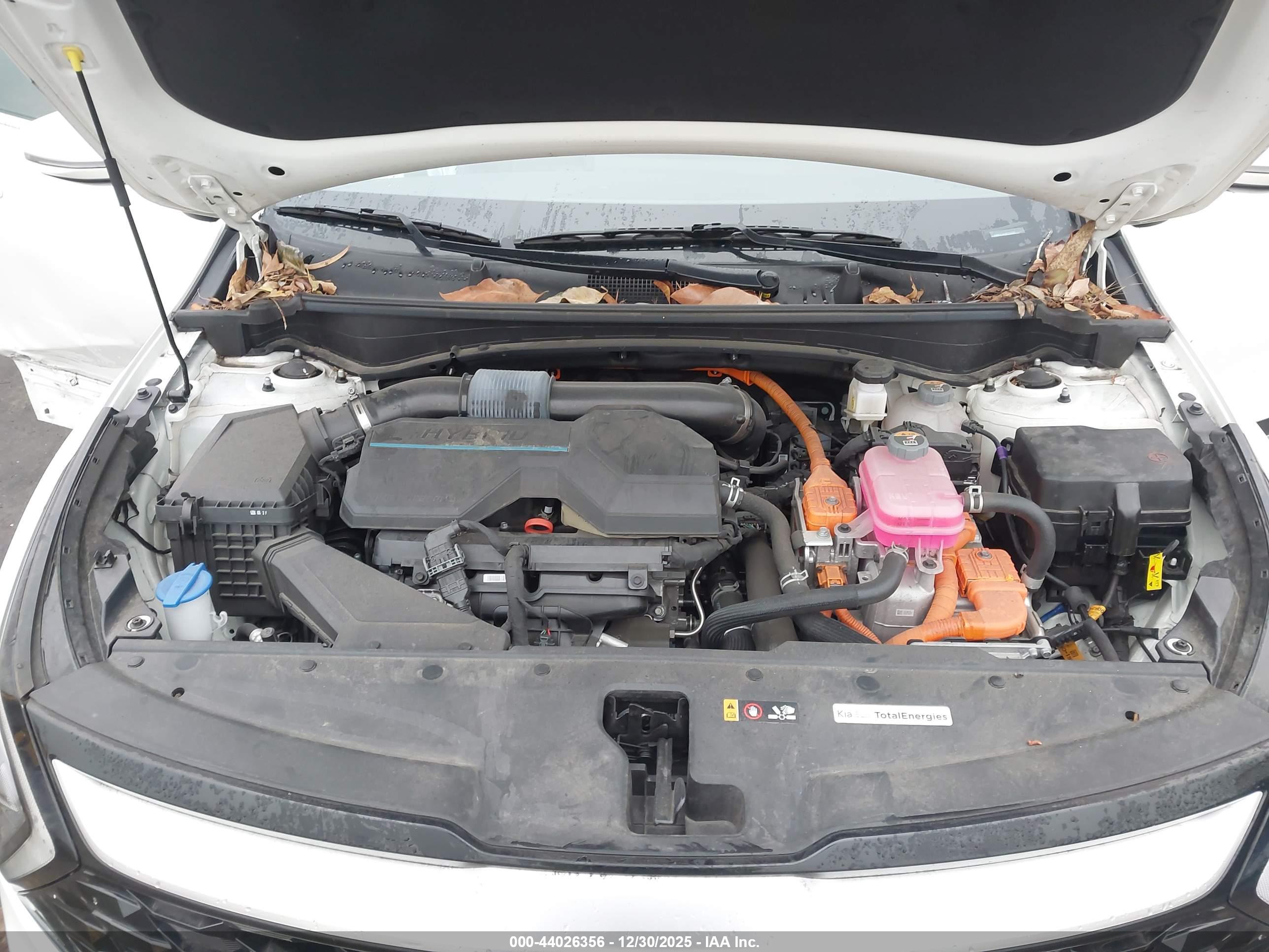 KIA SPORTAGE image 10