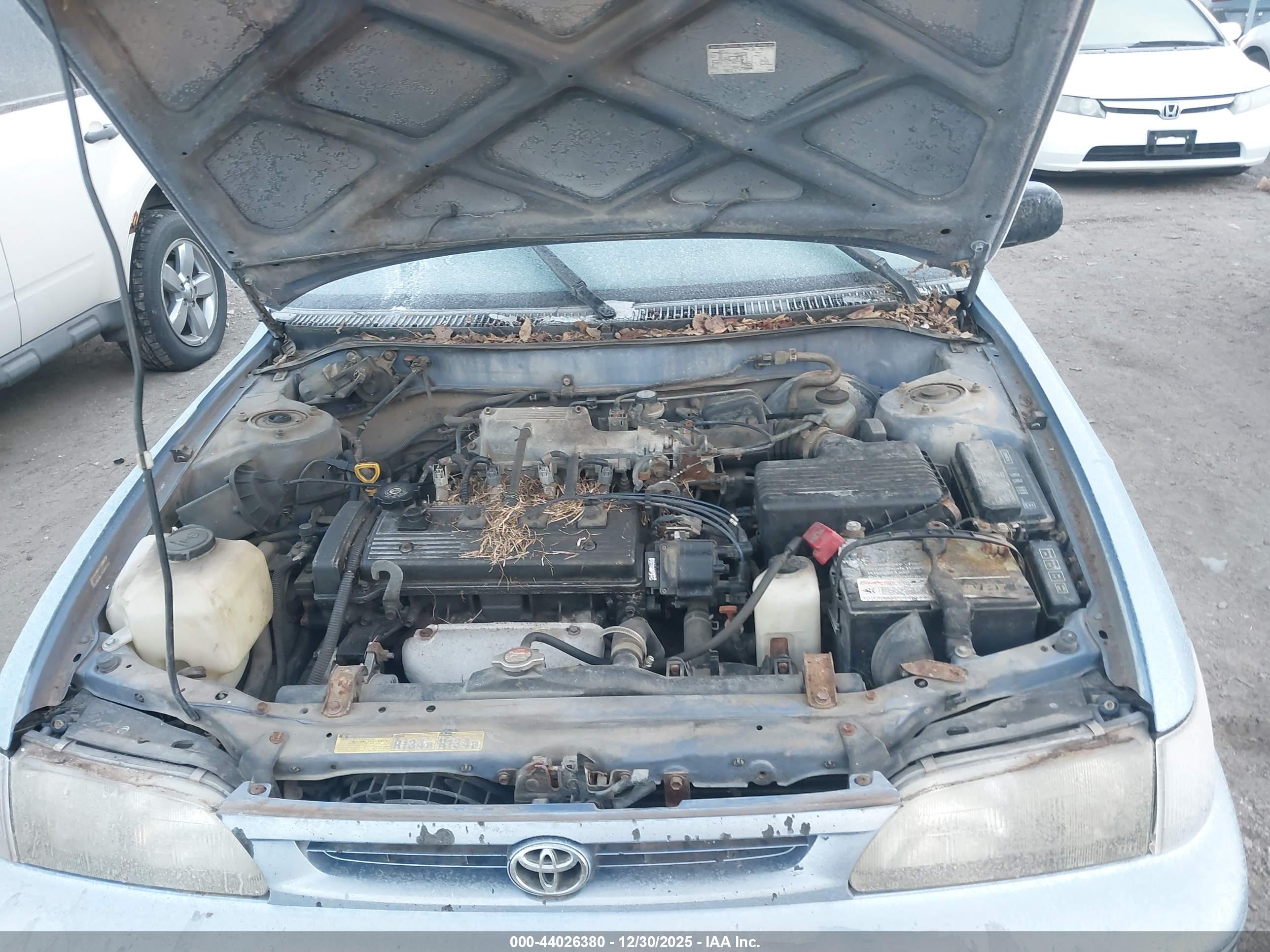 TOYOTA COROLLA image 10