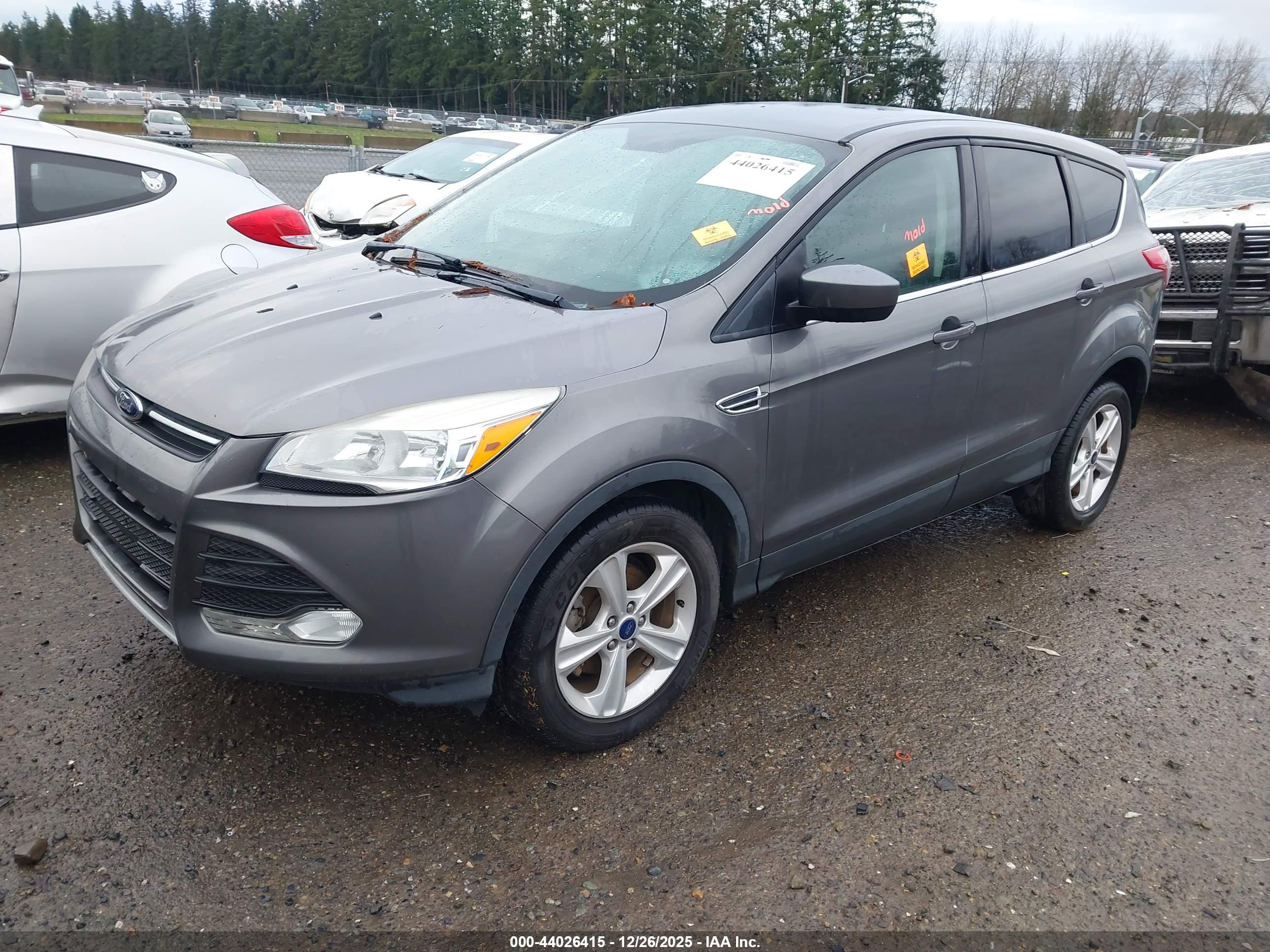 FORD ESCAPE image 2