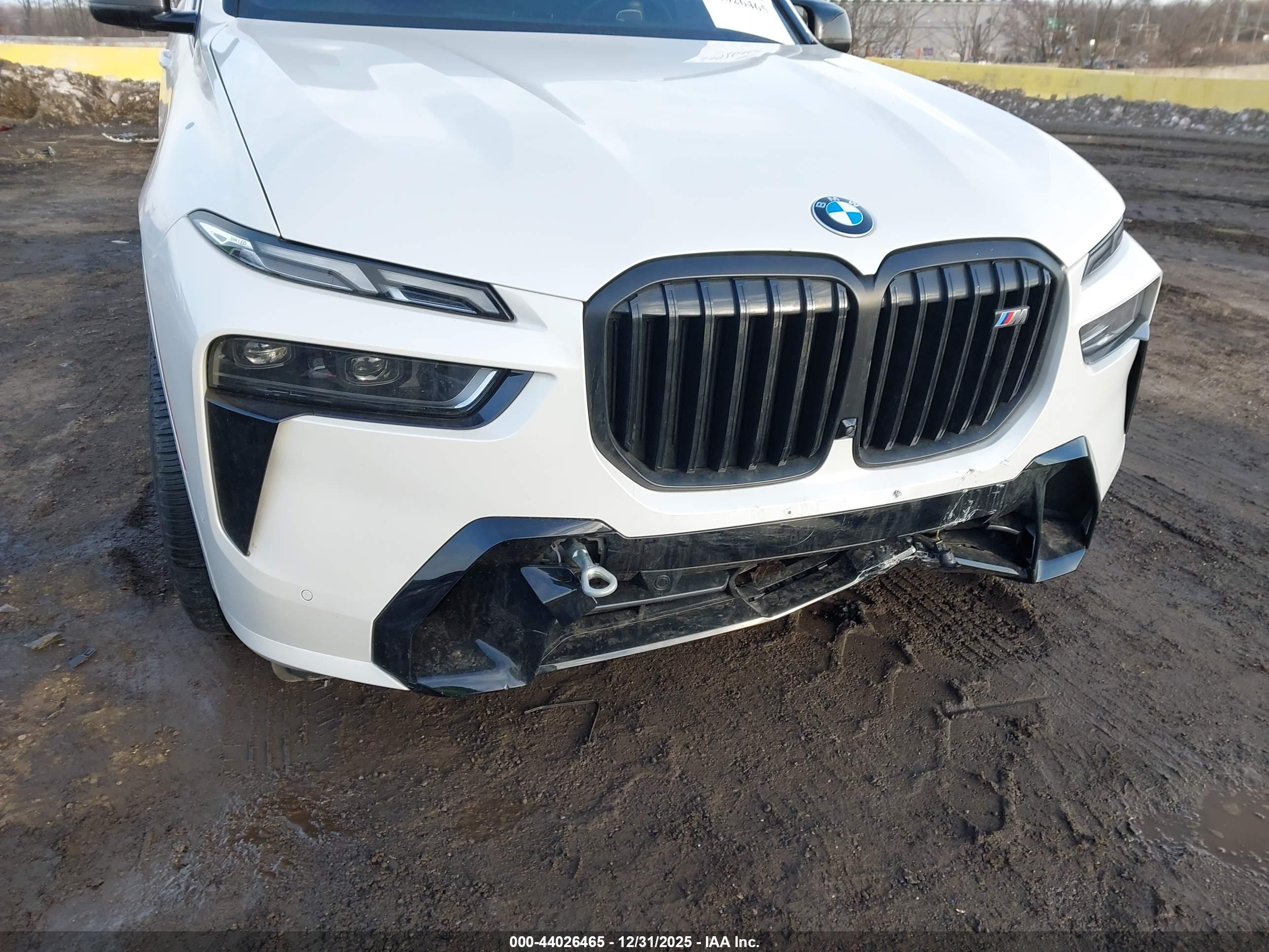 BMW X7 image 6