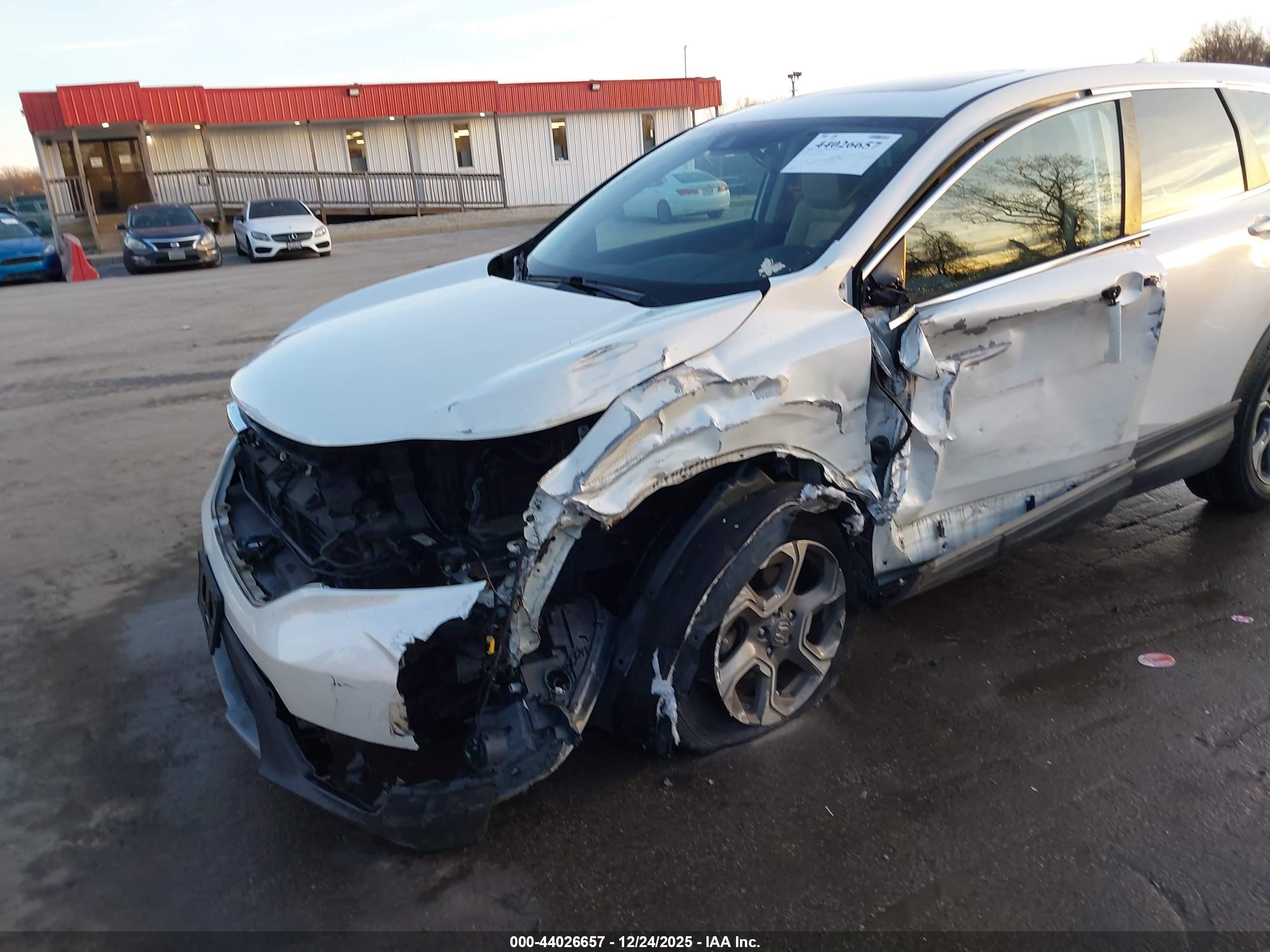 HONDA CR-V image 6