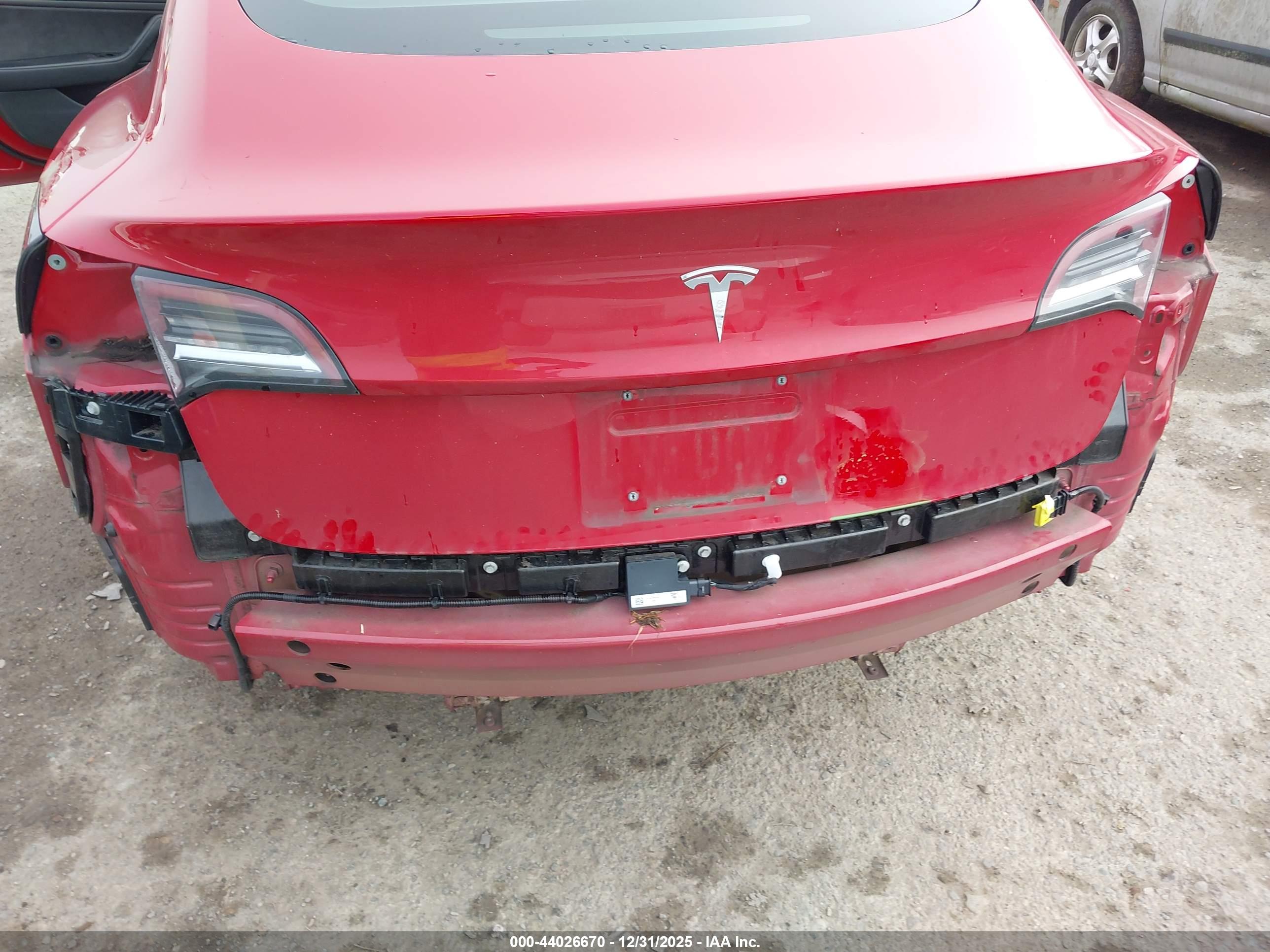 TESLA MODEL image 6