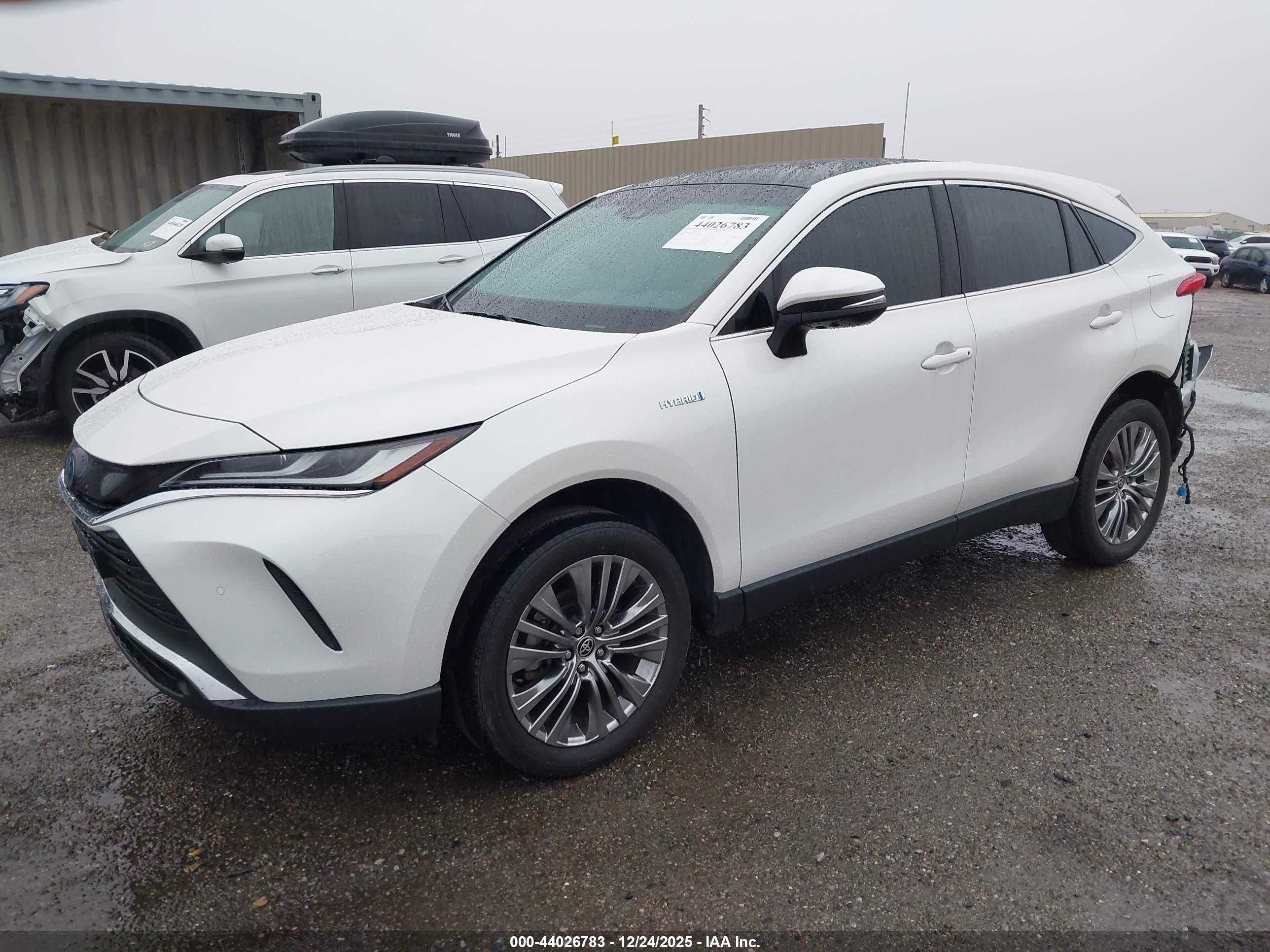 TOYOTA VENZA image 2