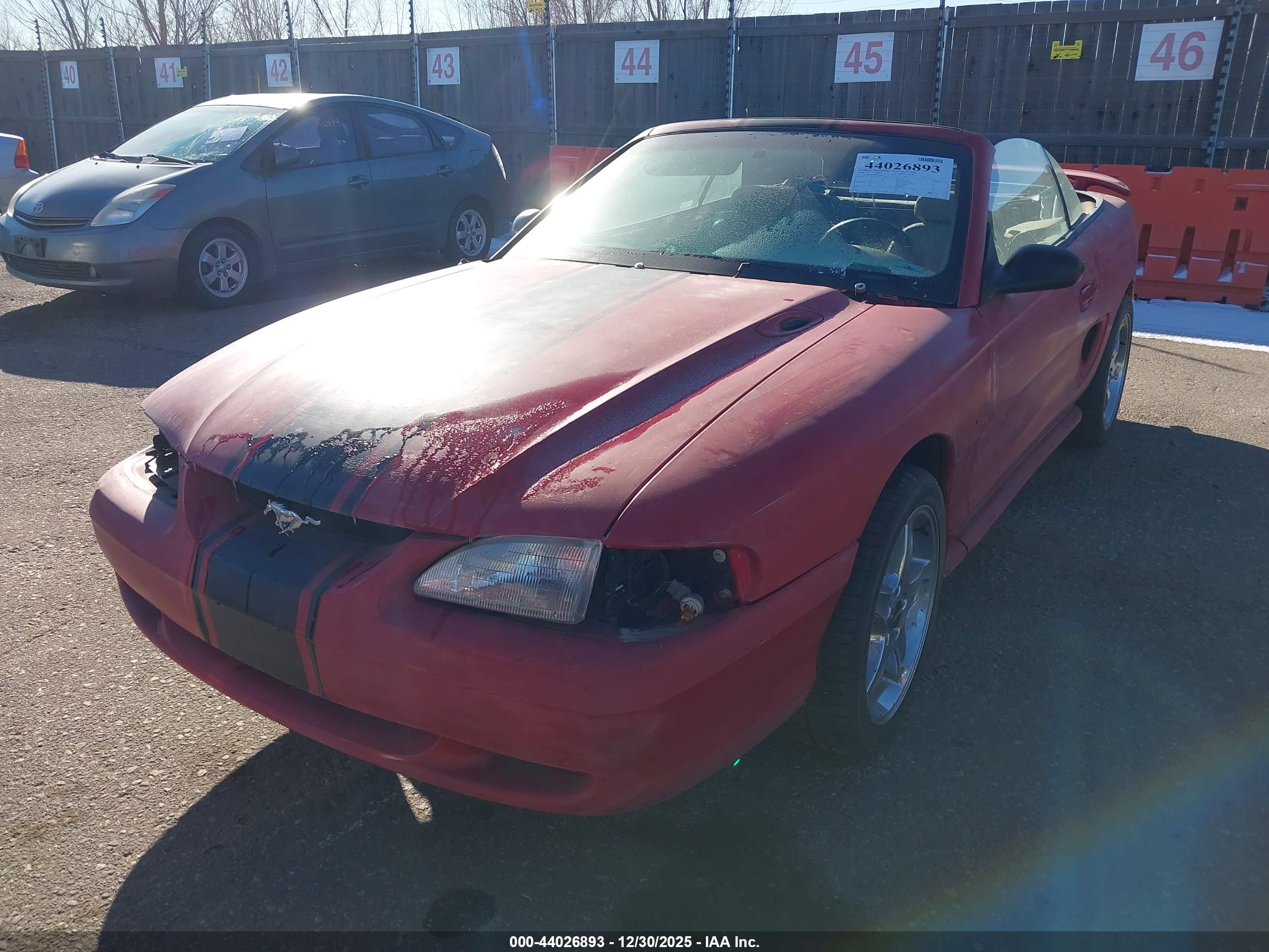 FORD MUSTANG image 2