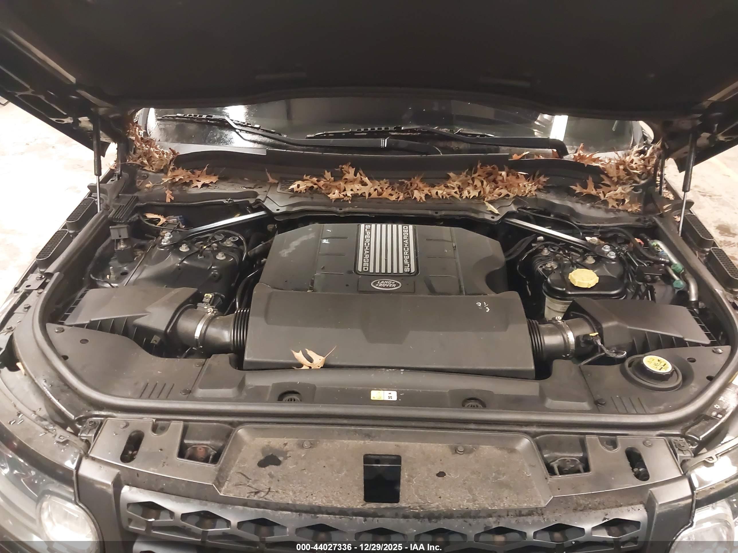 LAND ROVER image 10