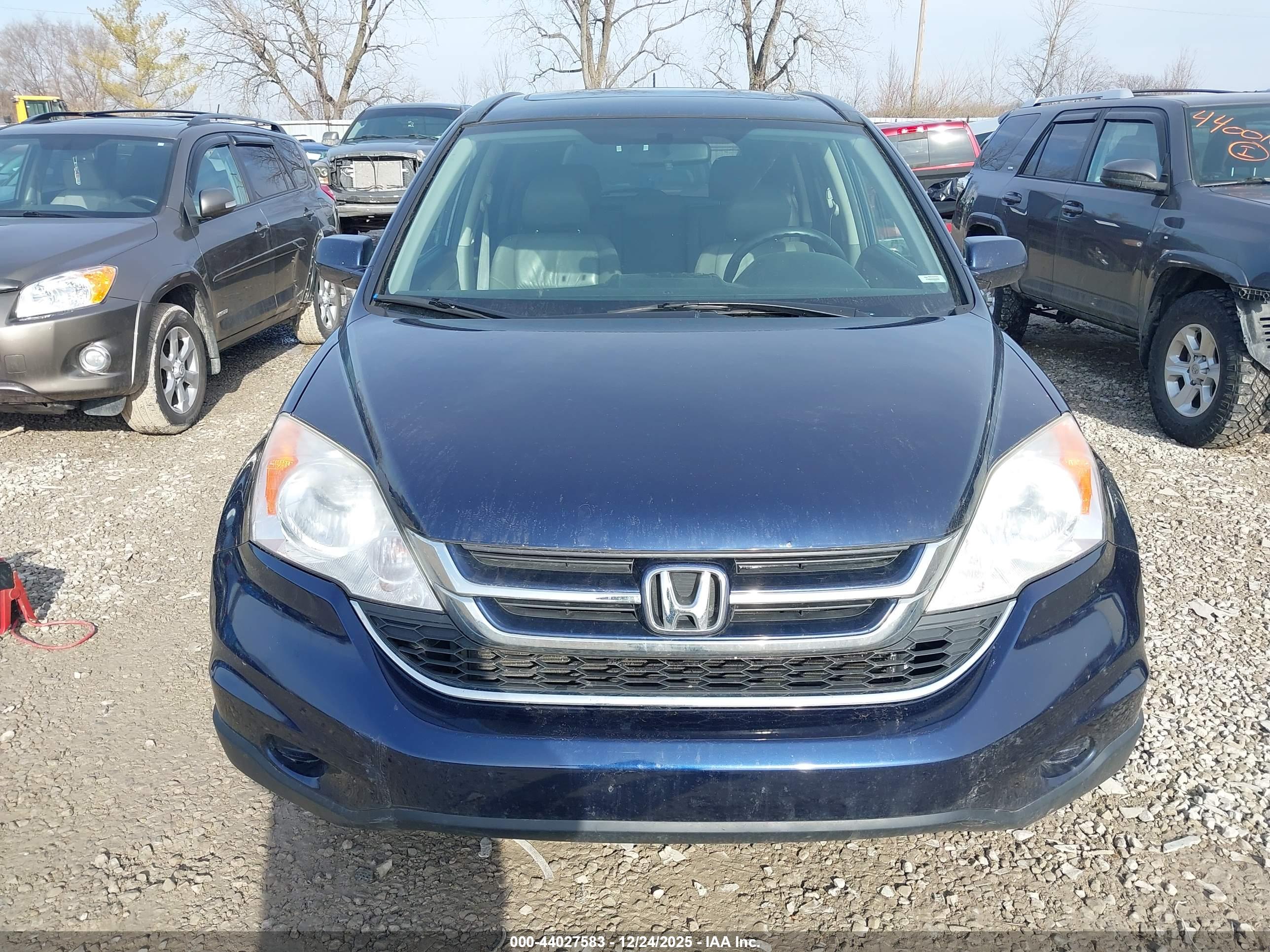 HONDA CR-V image 6