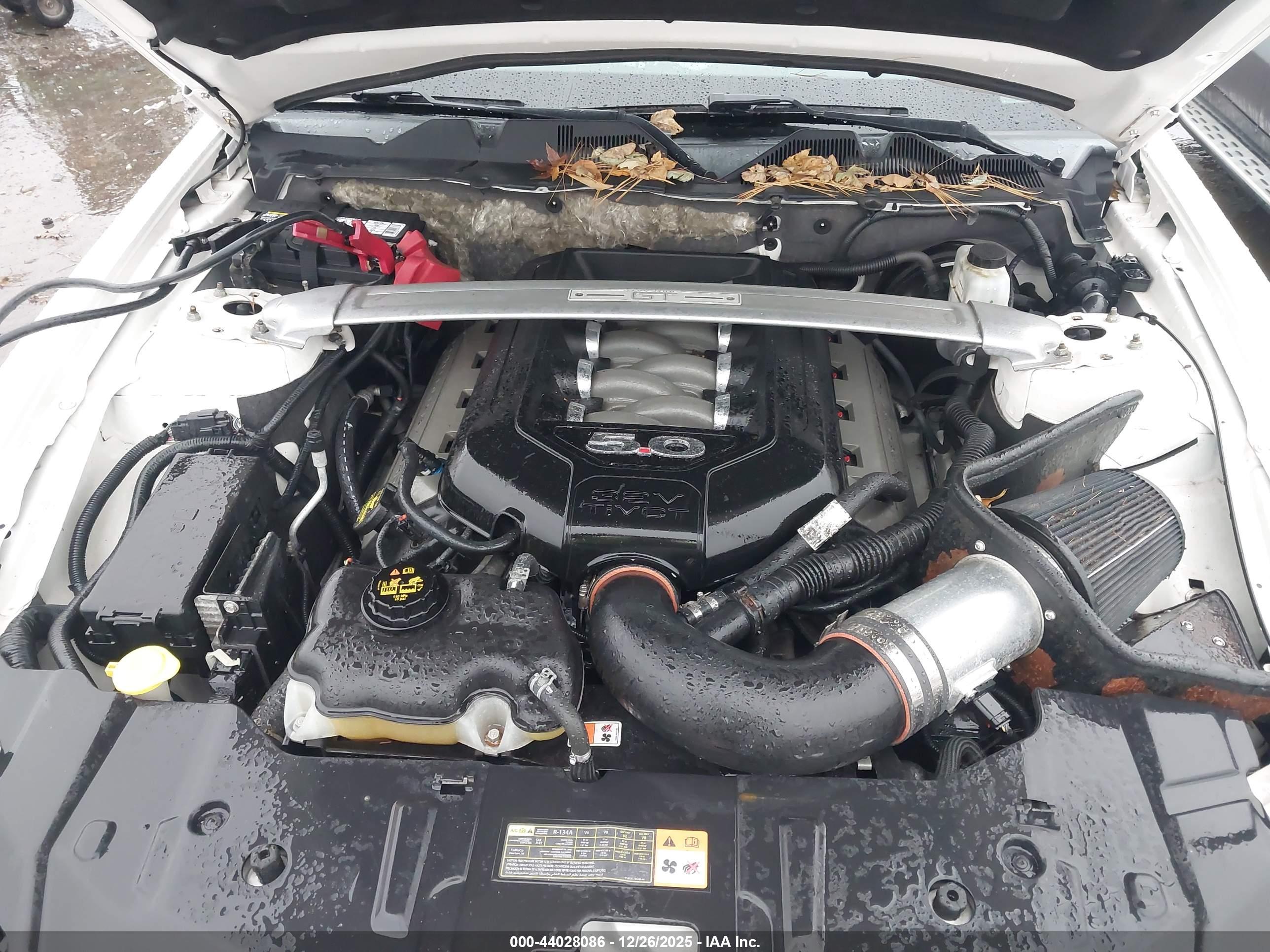 FORD MUSTANG image 10