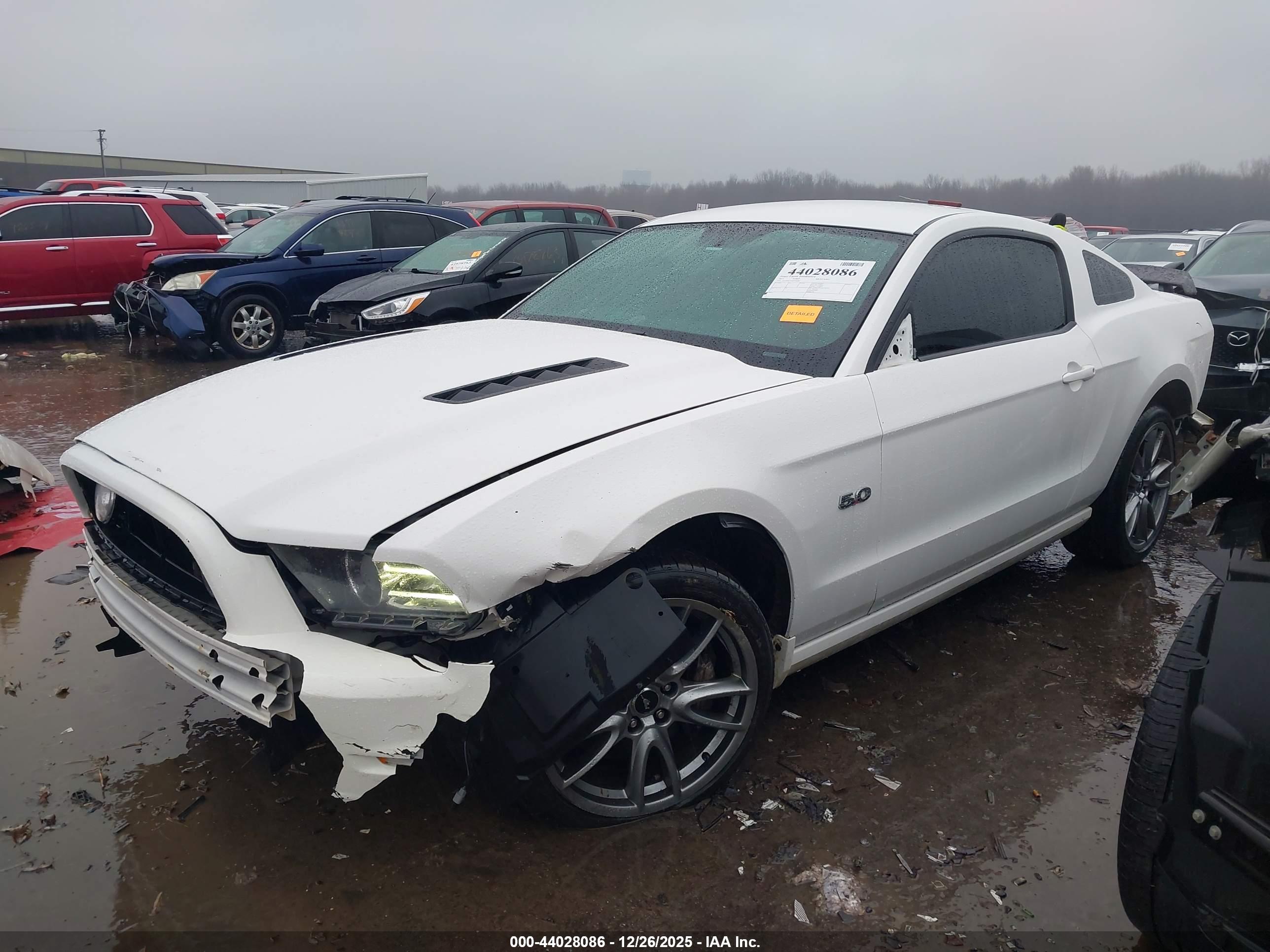 FORD MUSTANG image 2