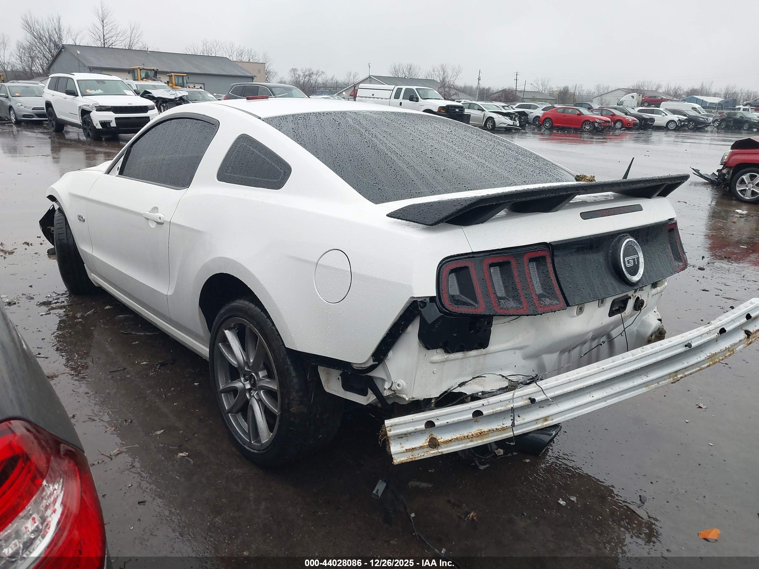 FORD MUSTANG image 3