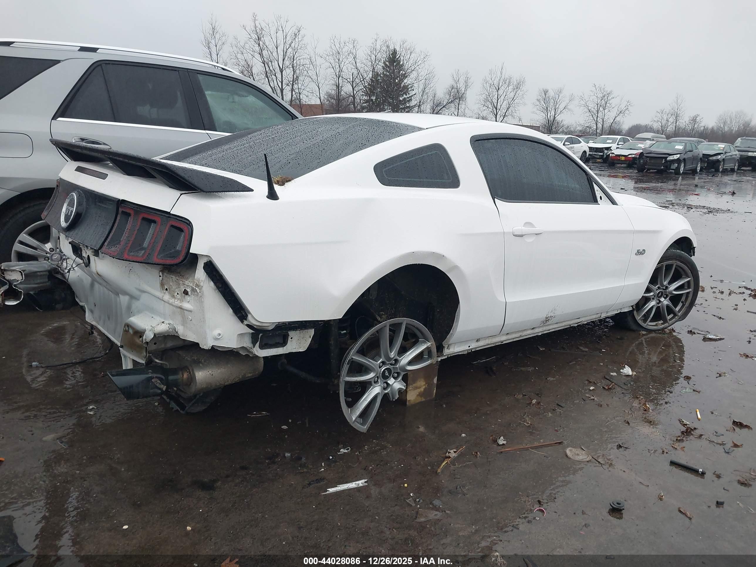 FORD MUSTANG image 4